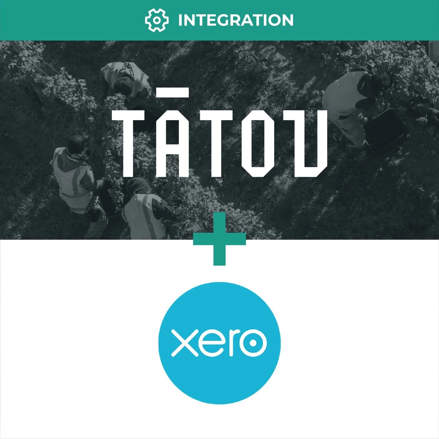 Tātou &amp; @xero 🚀