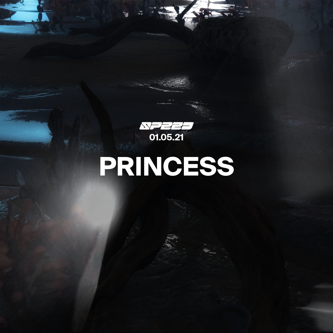 PRINCESS | Live | 002