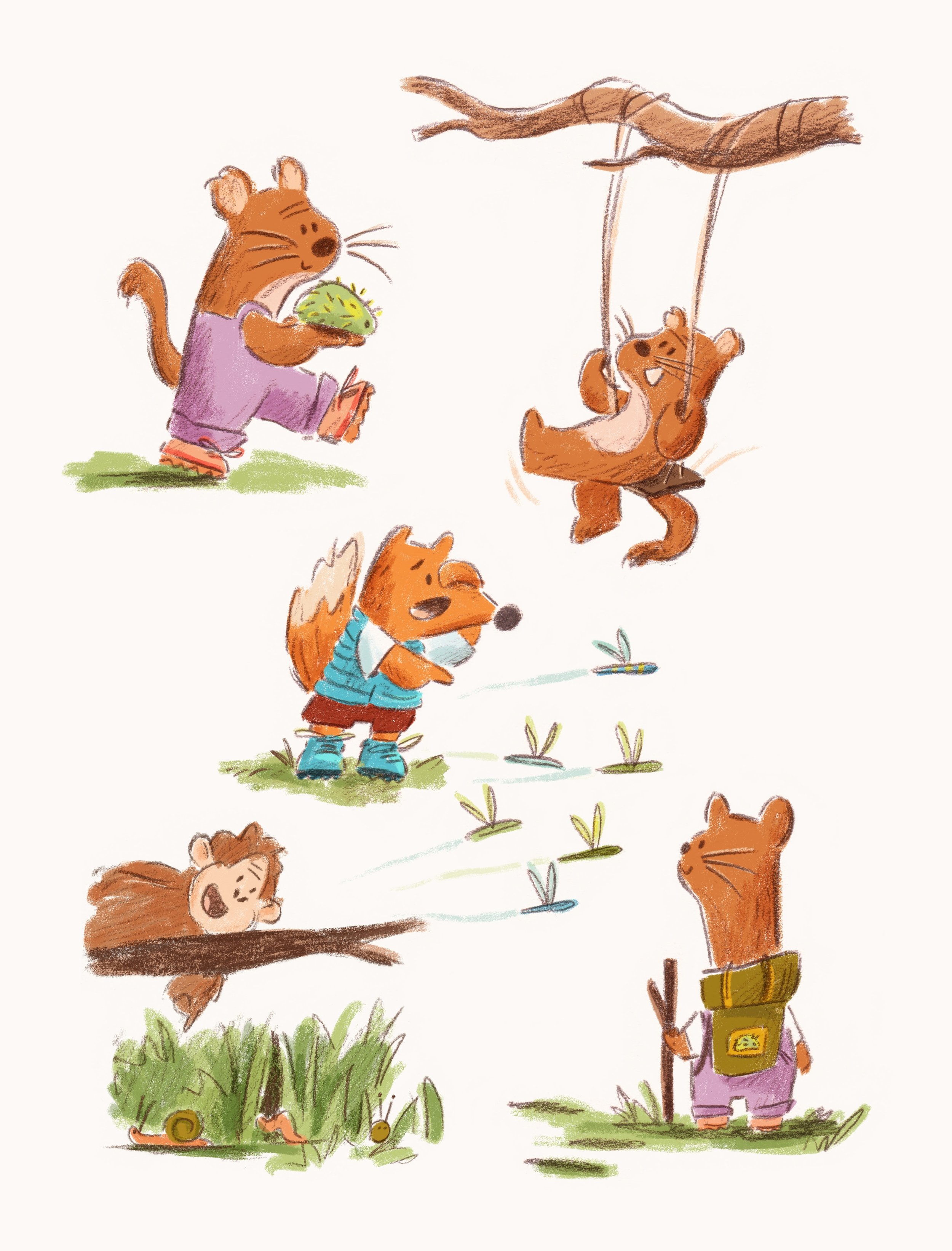 Some recent character studies. I saw a stoat for the first time a few weeks ago and thought she would make a fun explorer character🌿🐌

#illustration #sketchbook #sketch #art #childrensbookillustration