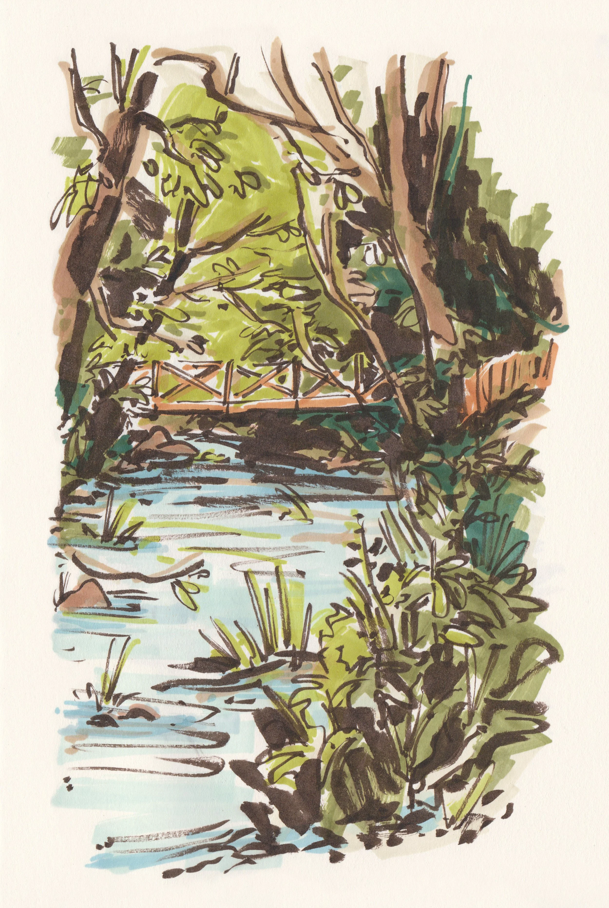 River ink illustration .jpg