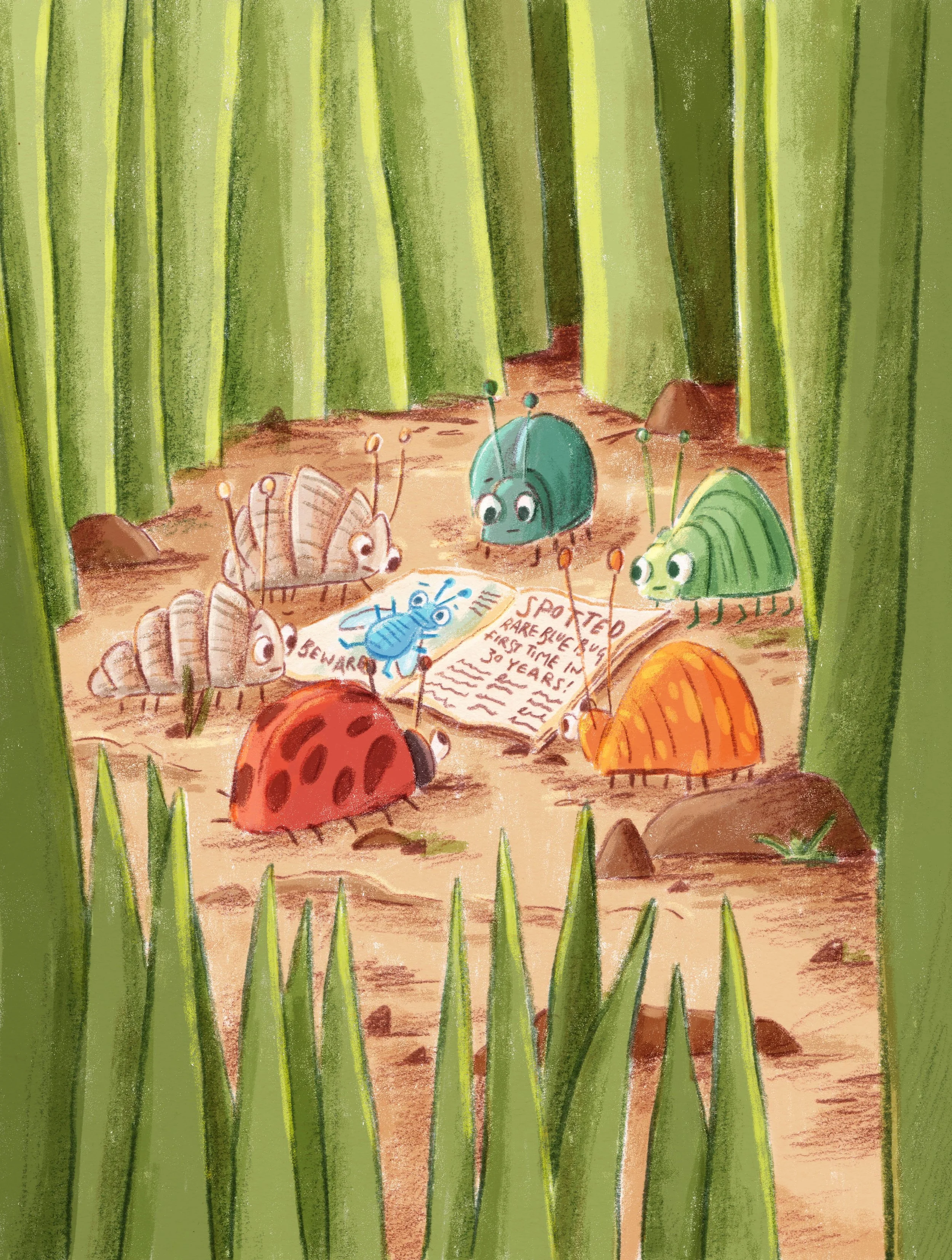 Rare blue bug illustration low res.jpg
