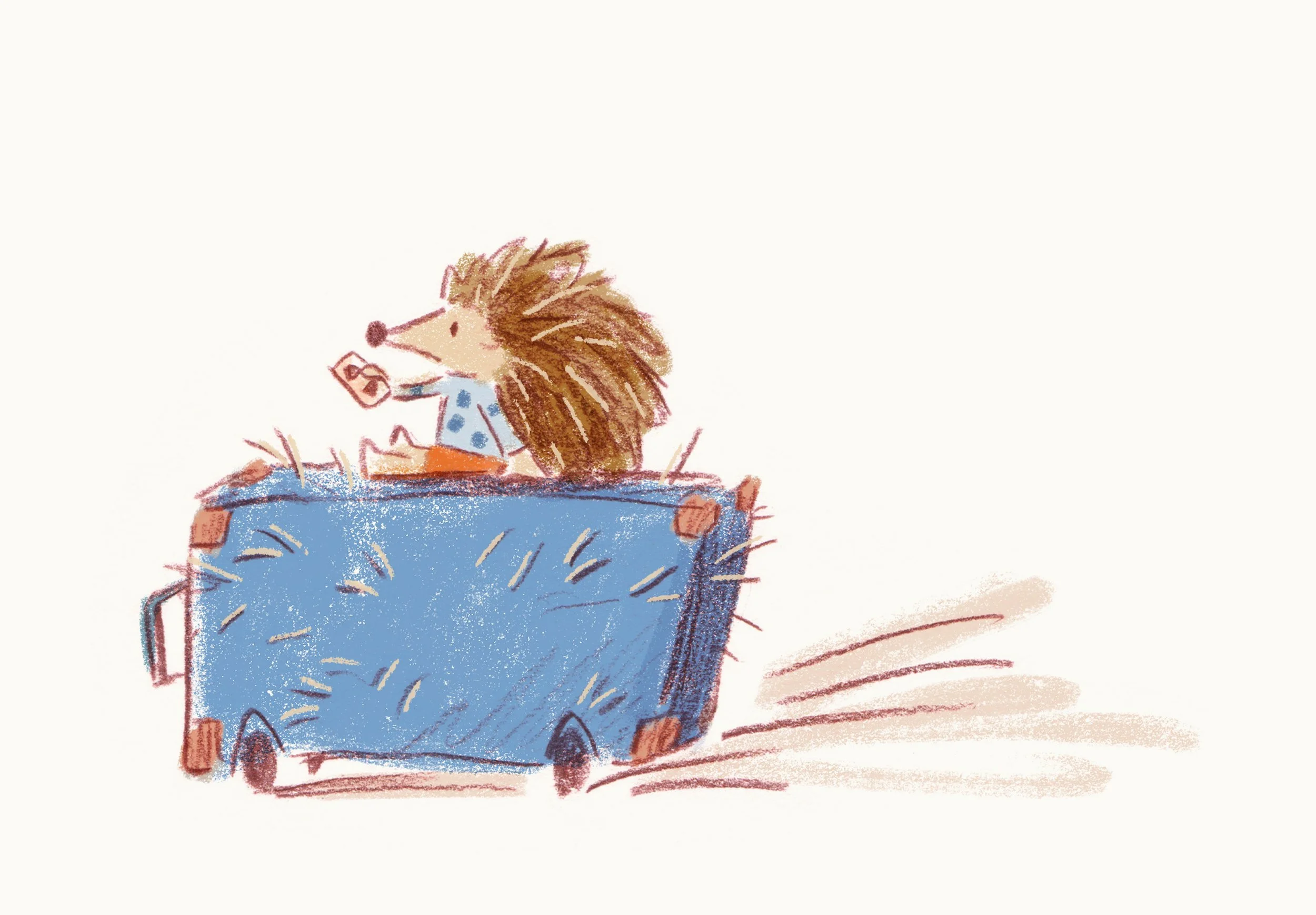 Hedgehog on suitcase .jpg