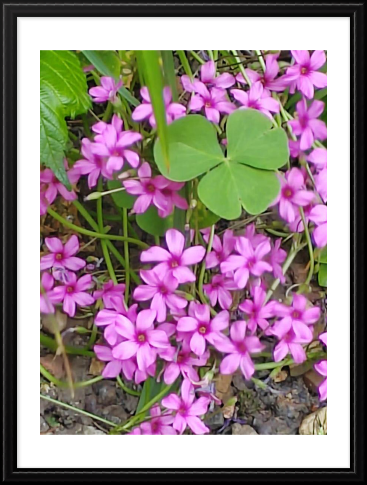 Hope_photography_B_4.png