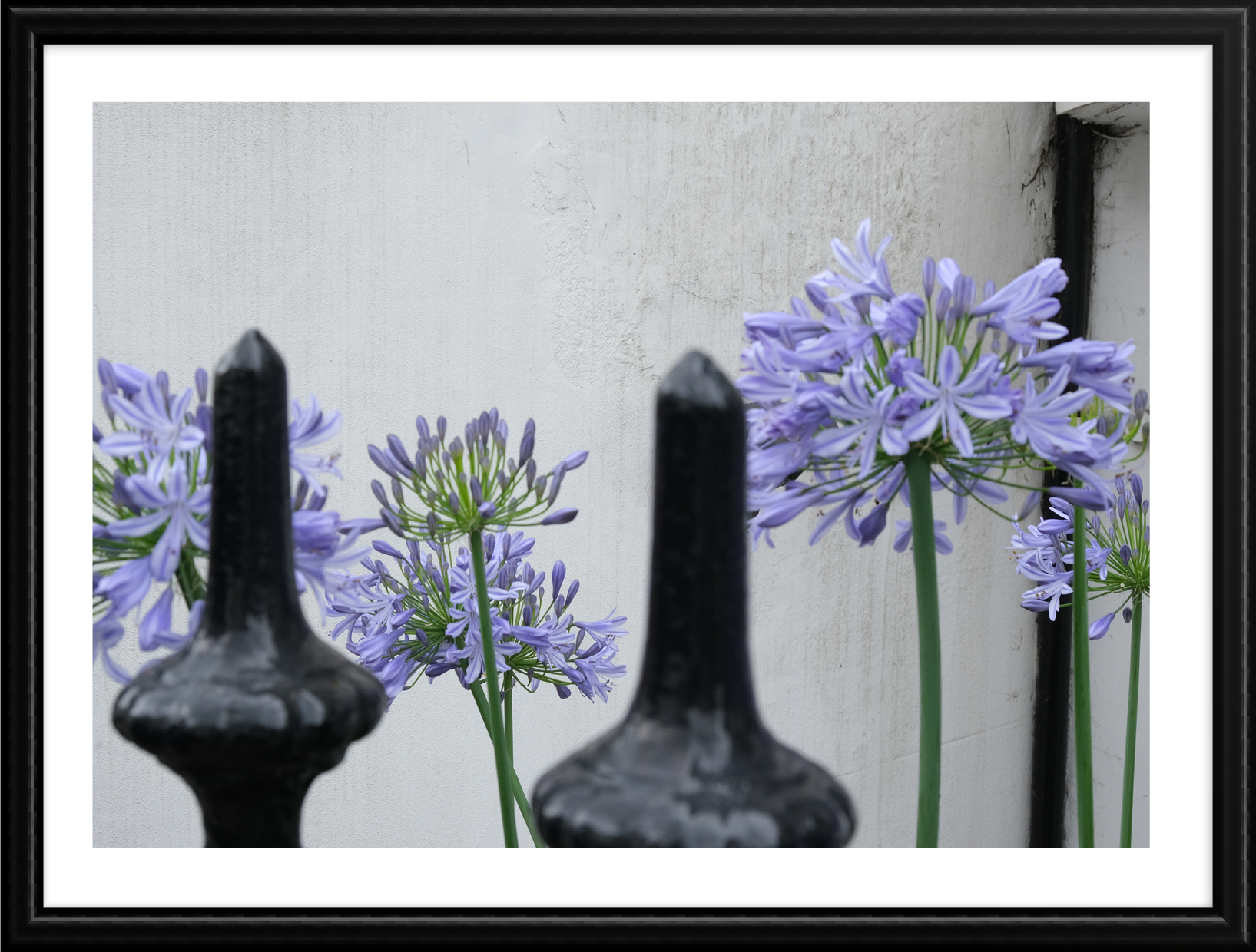Hope_photography_B_12.png