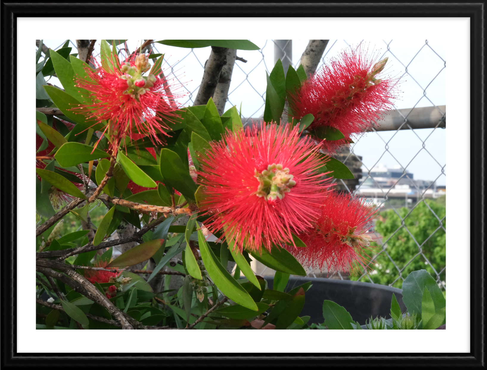Hope_photography_B_8.png