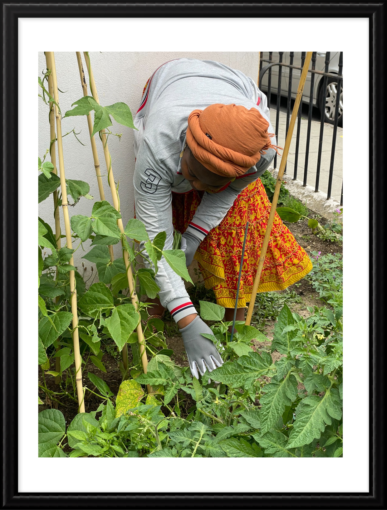 Gardening_framed_36.png
