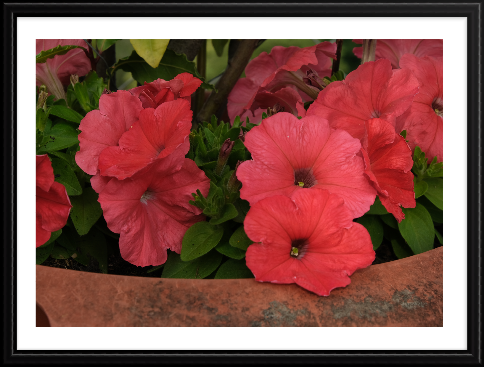 Hope_photography_B_11.png