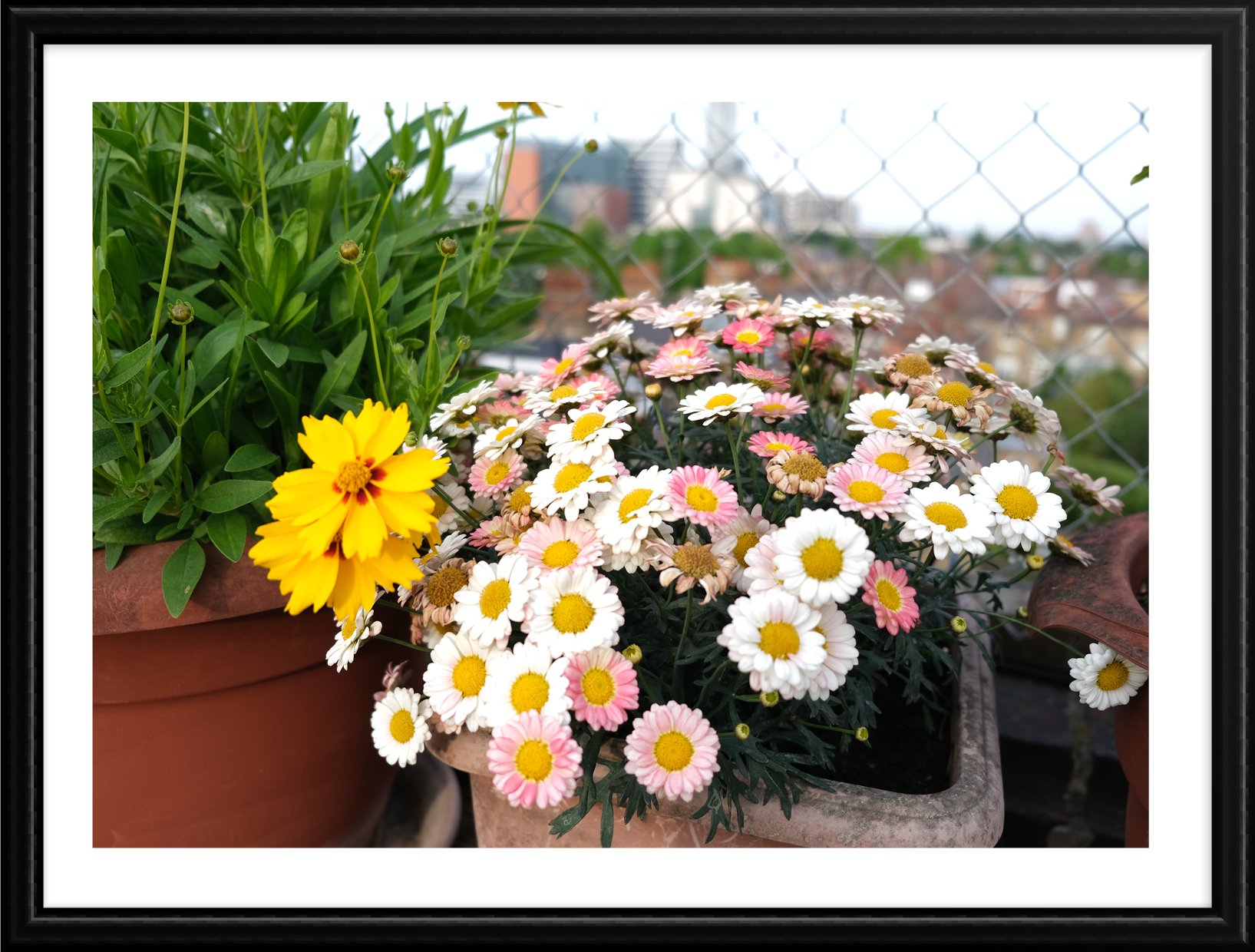 Hope_photography_B_7.png