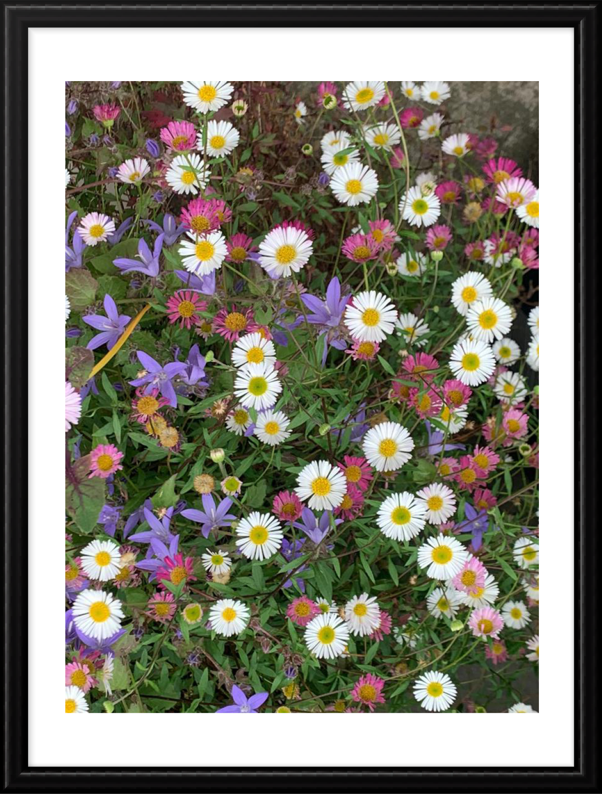 Hope_photography_B_3.png
