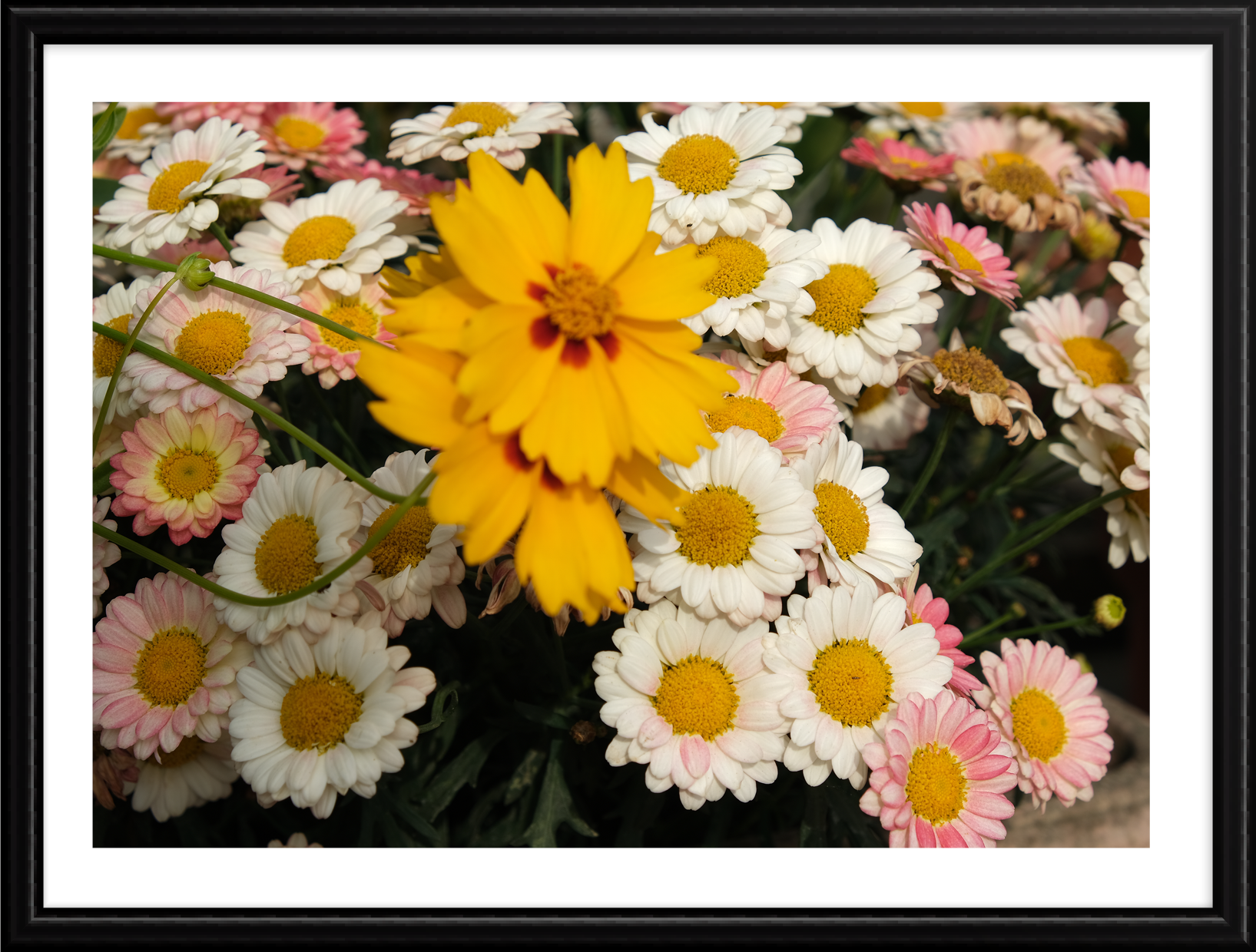 Hope_photography_B_10.png