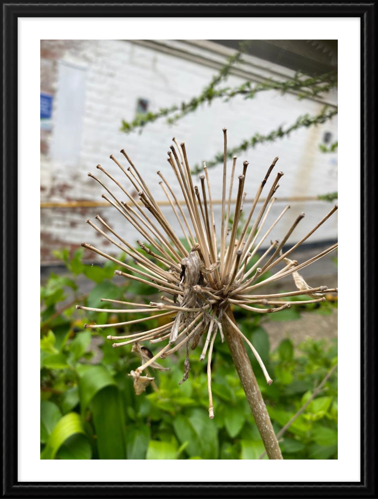 Hope_photography_B_2.png