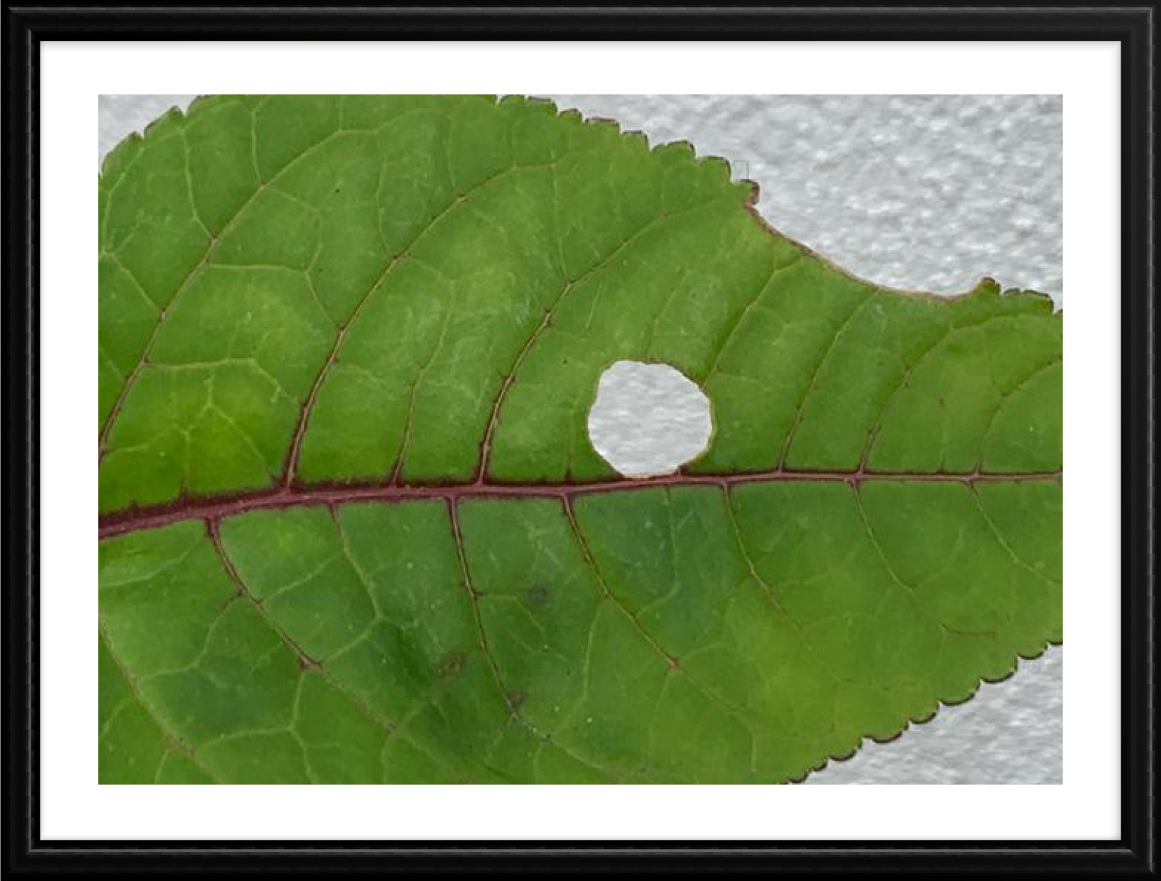 Hope_photography_B_13.png