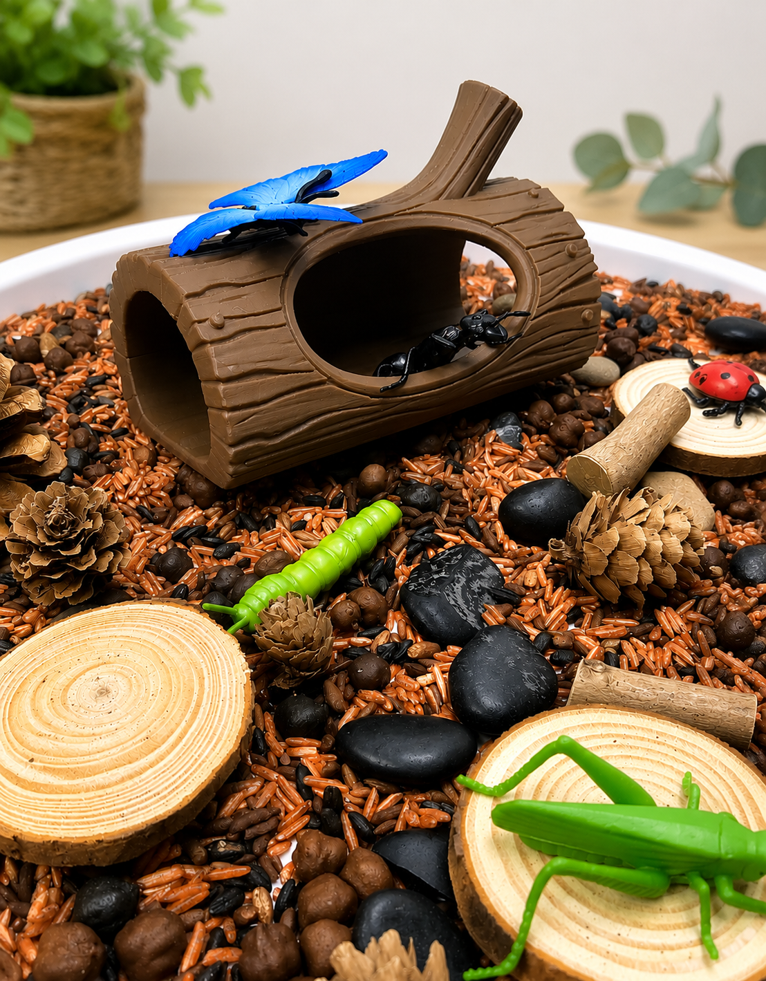 Bugs sensory kit.png