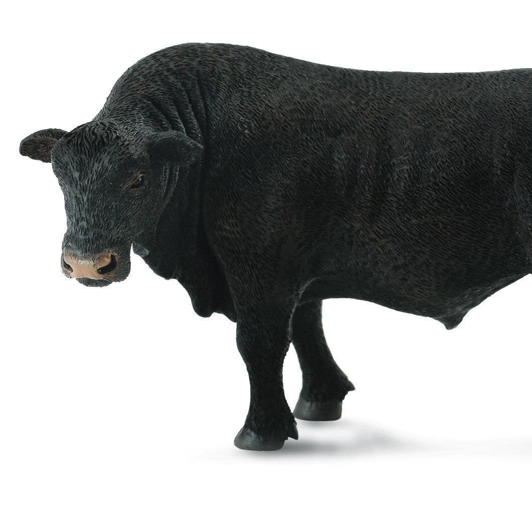 black+angus+bull.jpg