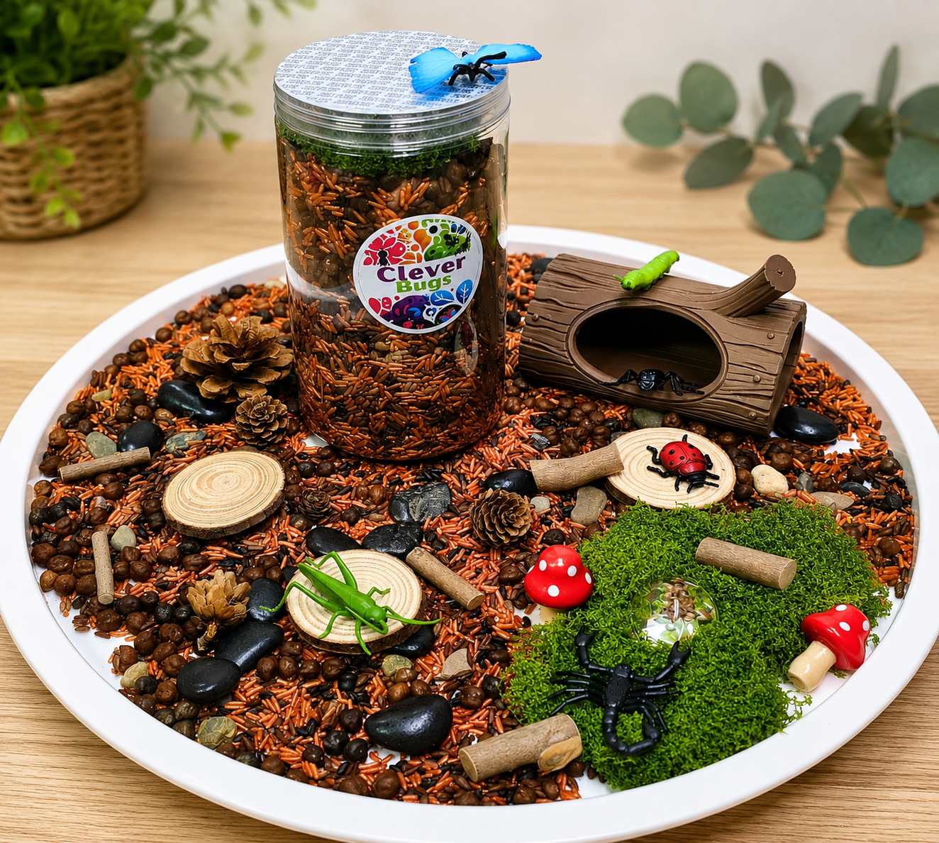 Insect sensory kit Australia .png