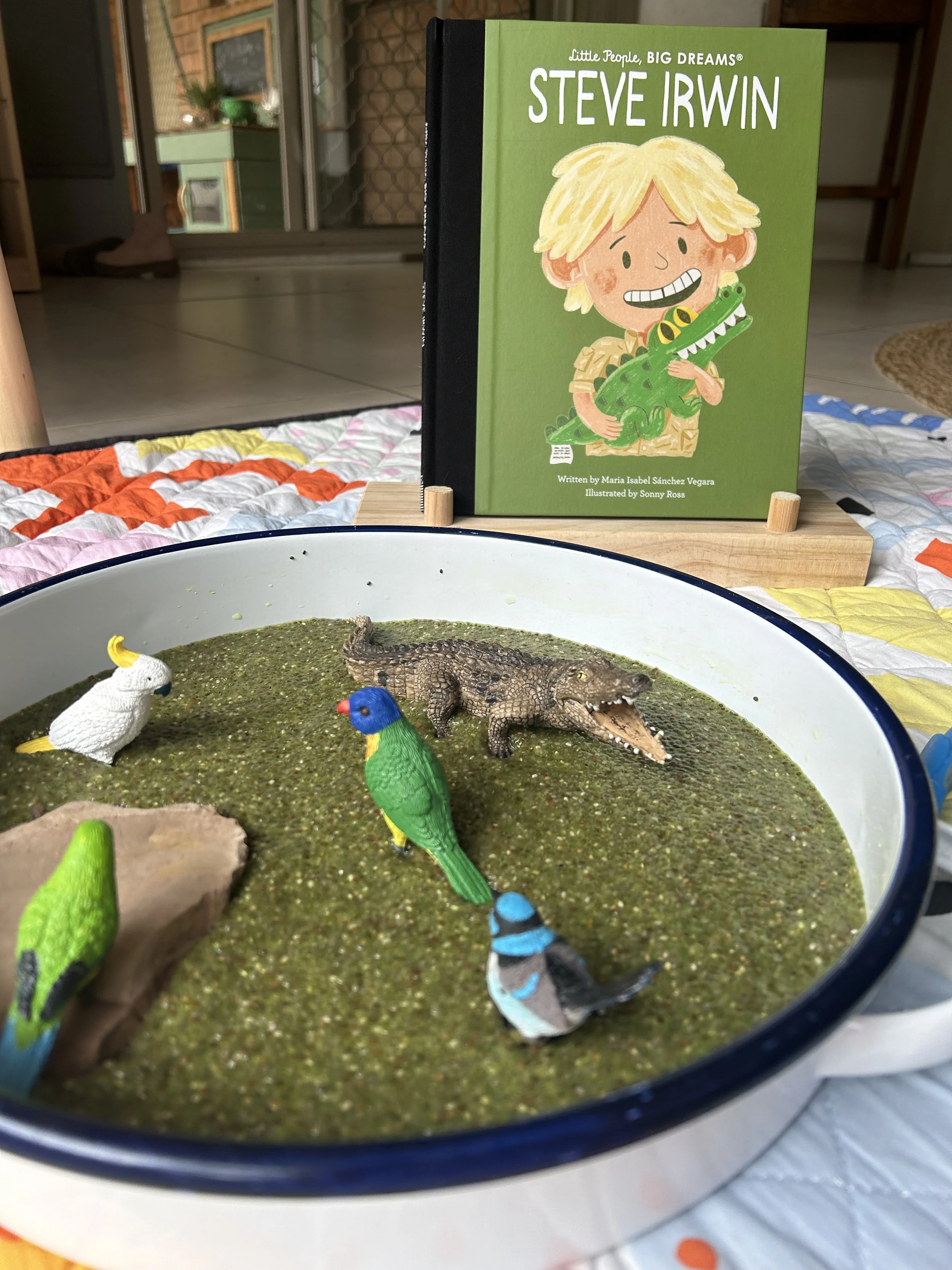 bird sensory play steve irwin book.jpg