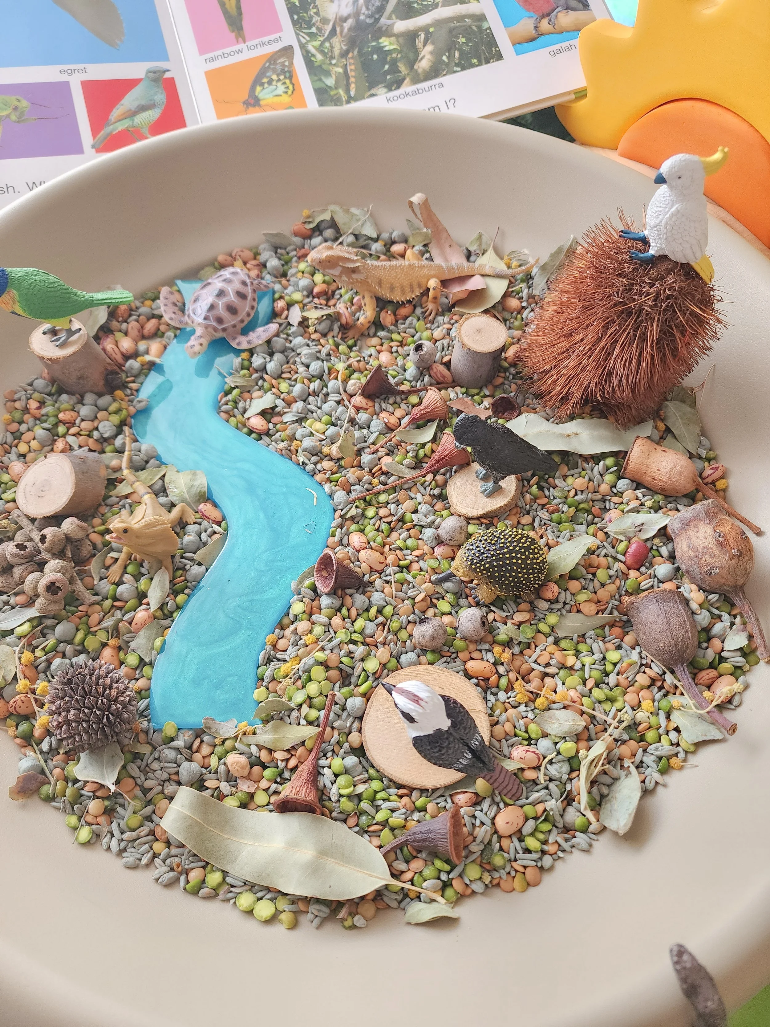 bird sensory tray cockatoo.jpg