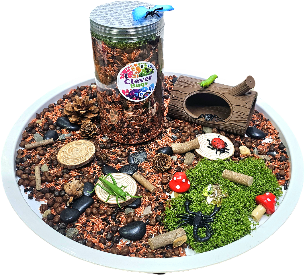 Bugs sensory play activity .png