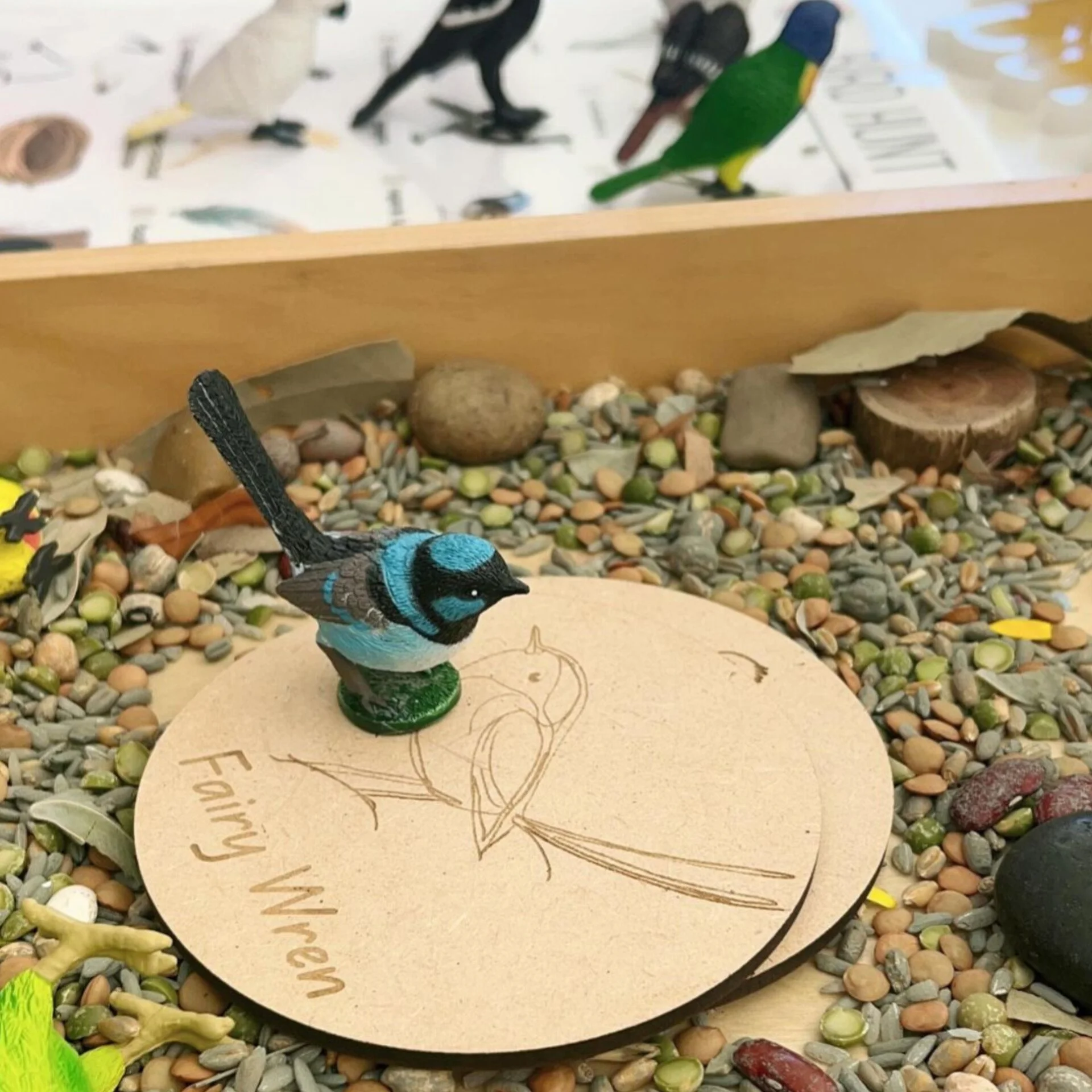 Fairy wren and bird-discs-@Mum2raigs.jpg