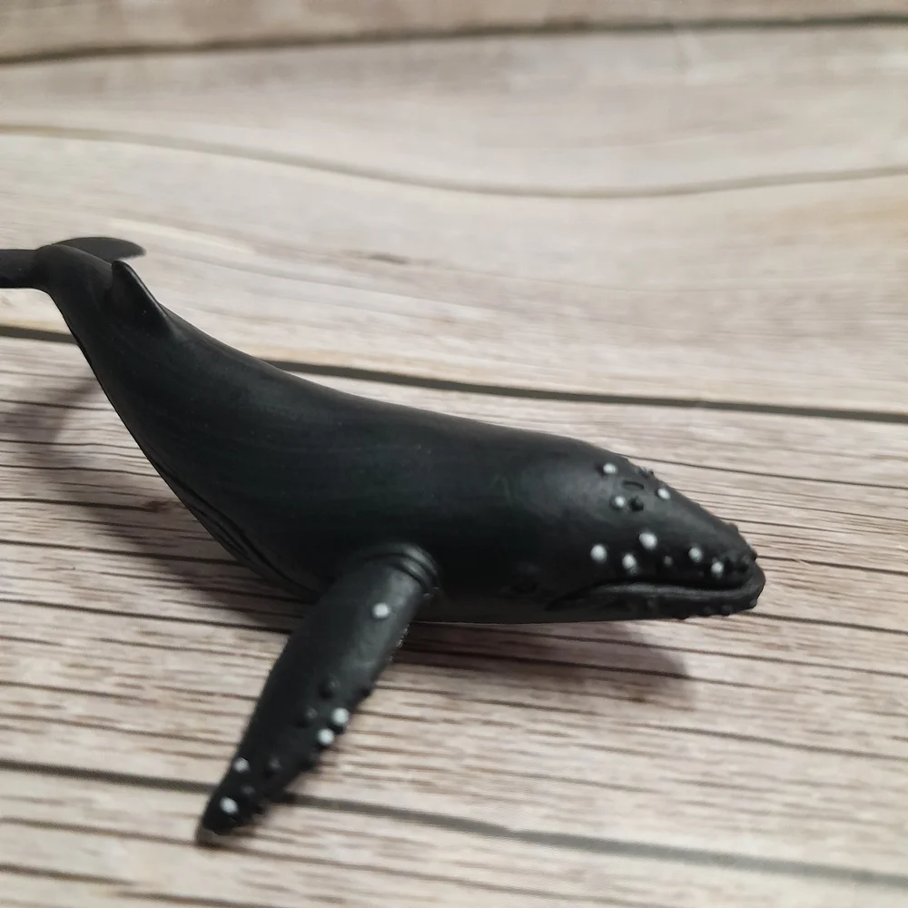 Humpback Whale — Shop Sensory Play, Nature Activities