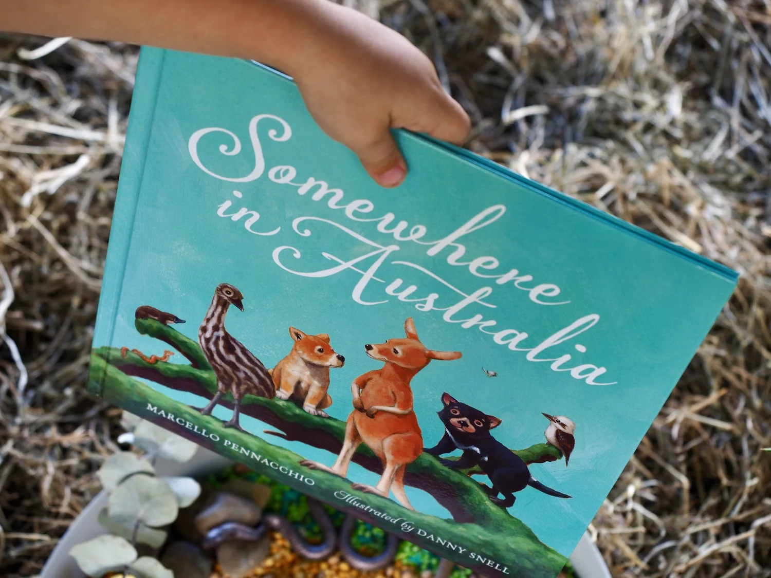 Somewhere In Australia — Shop Sensory Play, Nature Activities