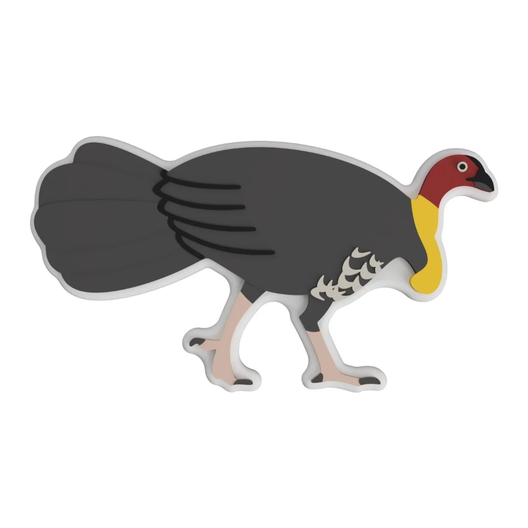 Bush Turkey Australian Bird Math Counters