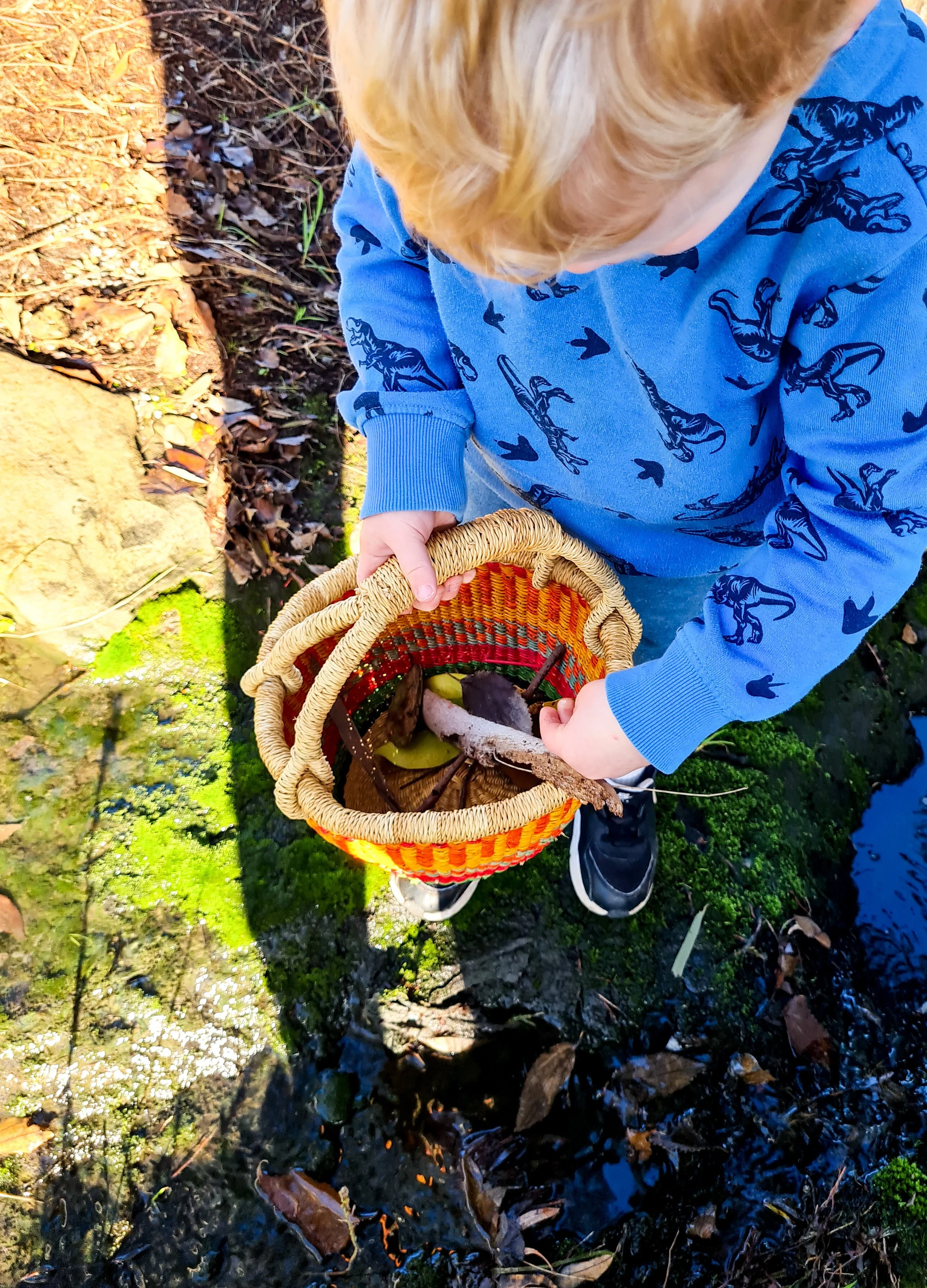 Nature Walk