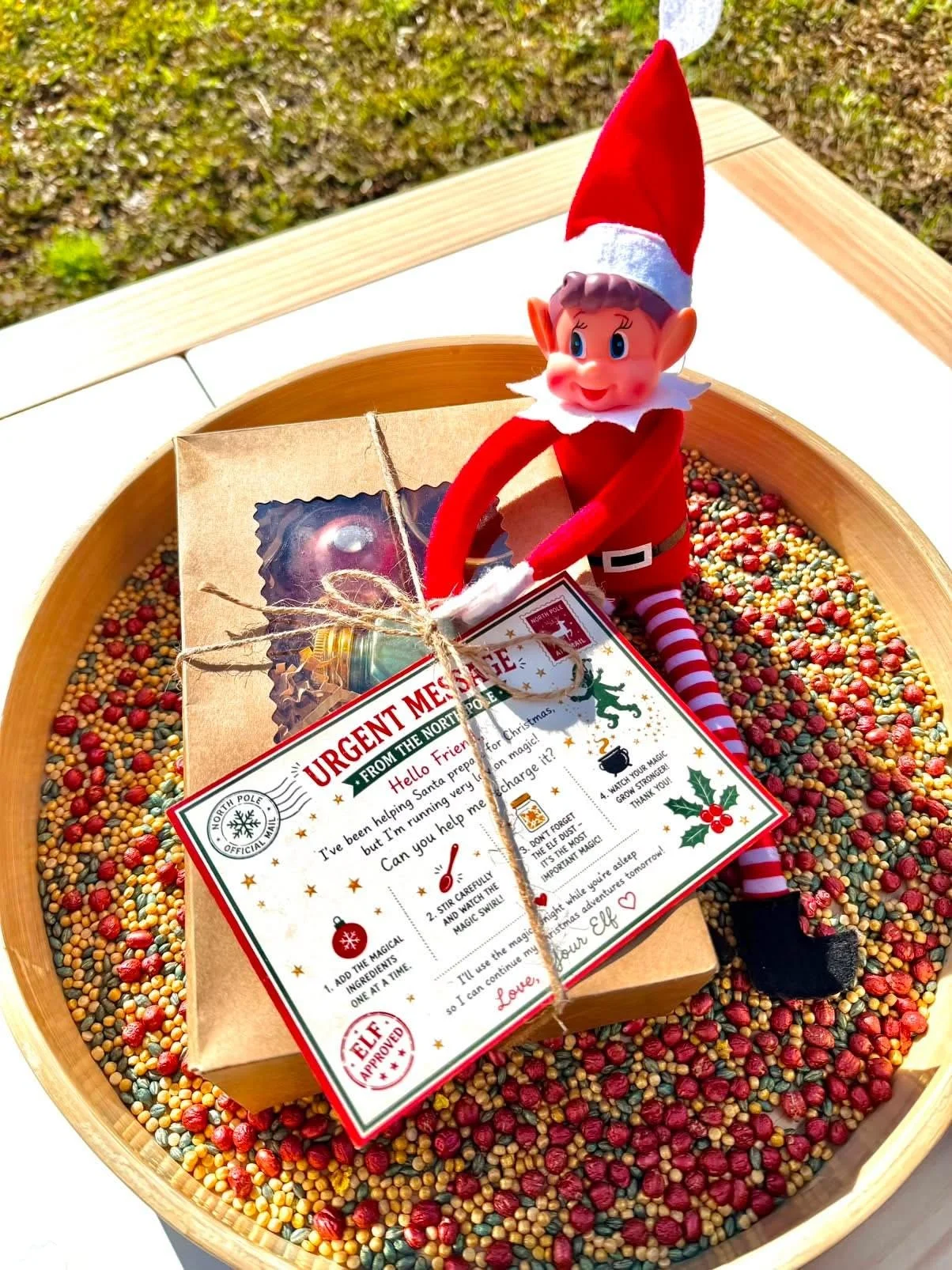 Elf Magic Potion Kit