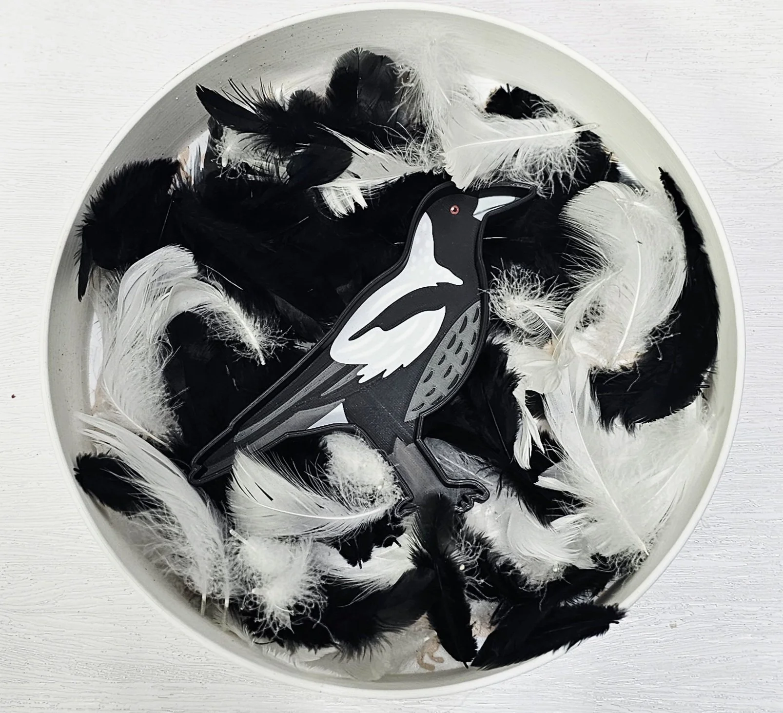 Magpie sensory tray filled with black and white feathers for sensory play