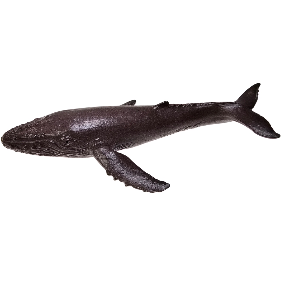 Humpback Whale