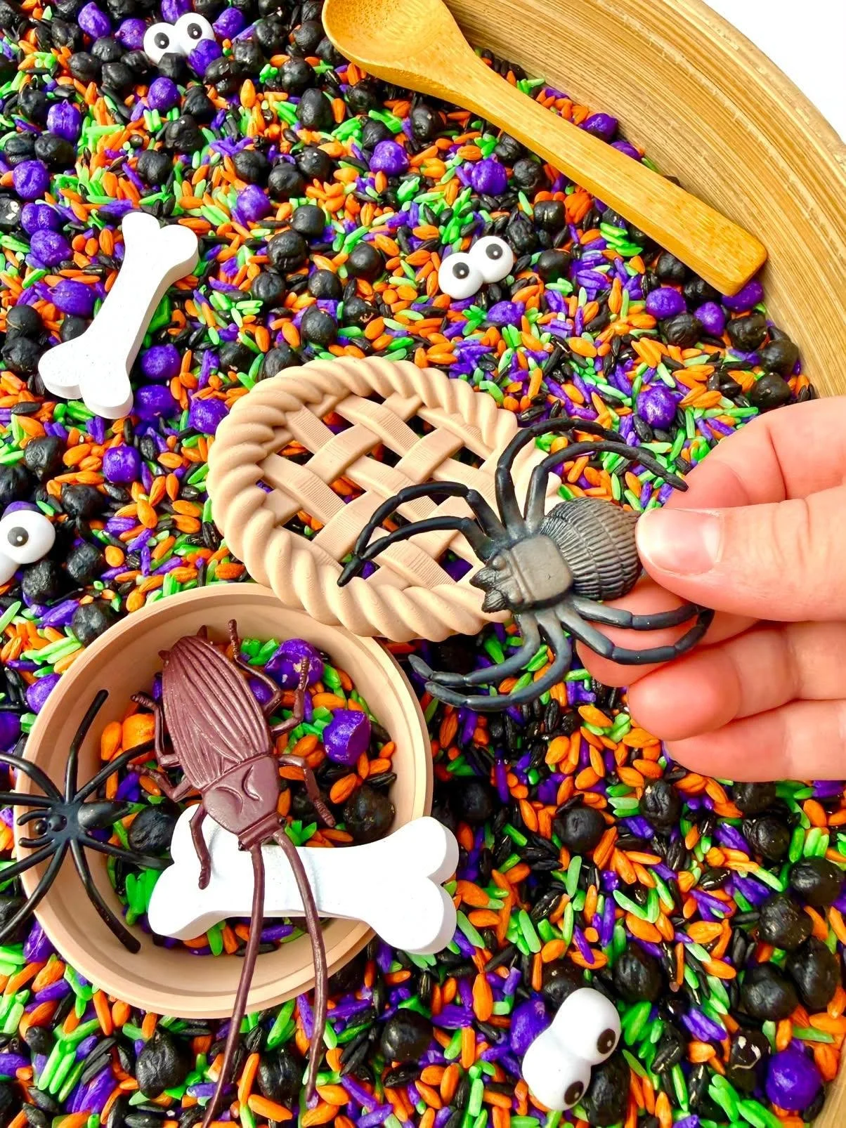 Halloween sensory kit with a pie and bugs.jpg