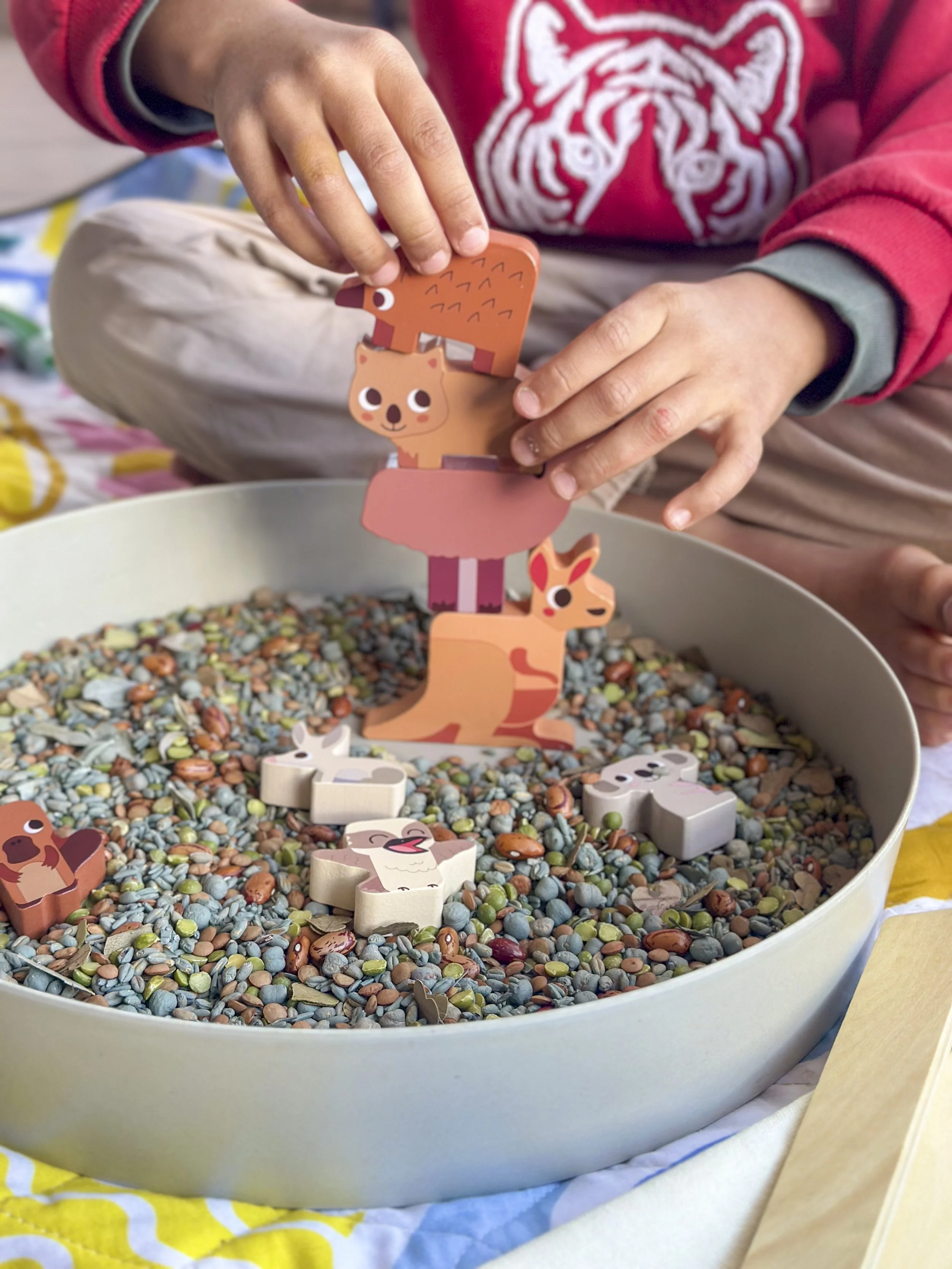 Aussie Animals Craft Activity9.jpg