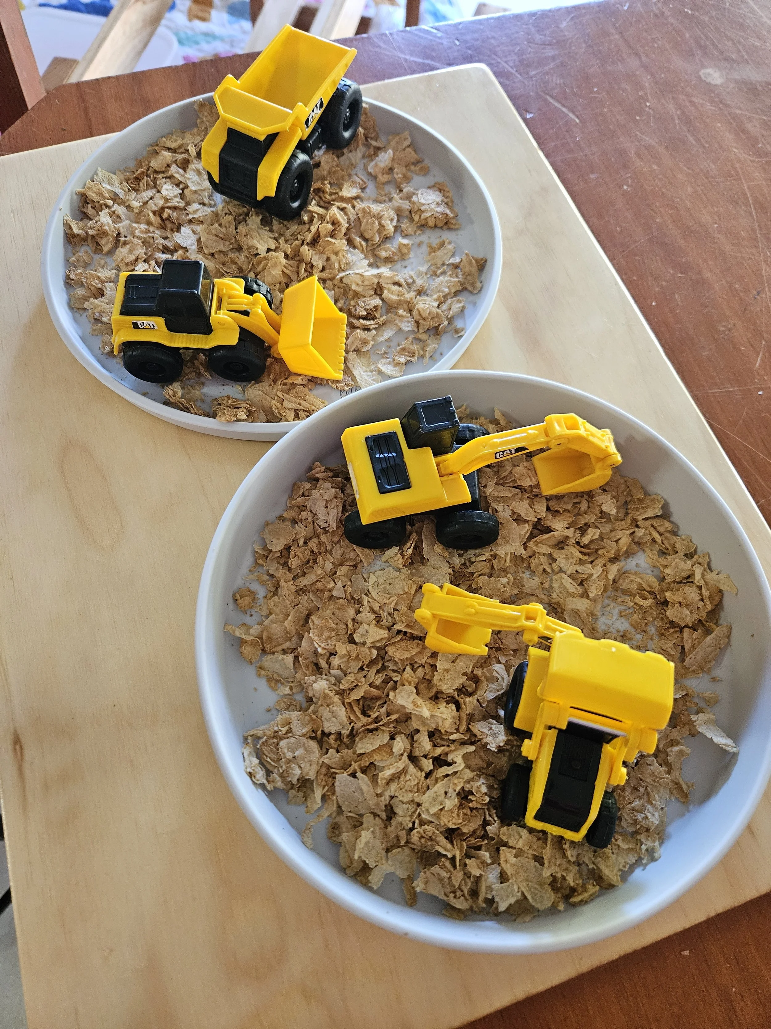 cereal used as a sensory base for construction activity