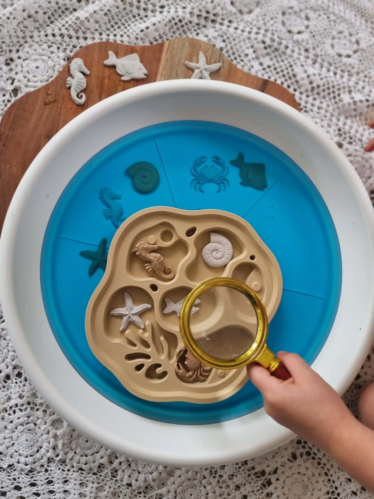 rockpool sensory bin for kids homeschool activities