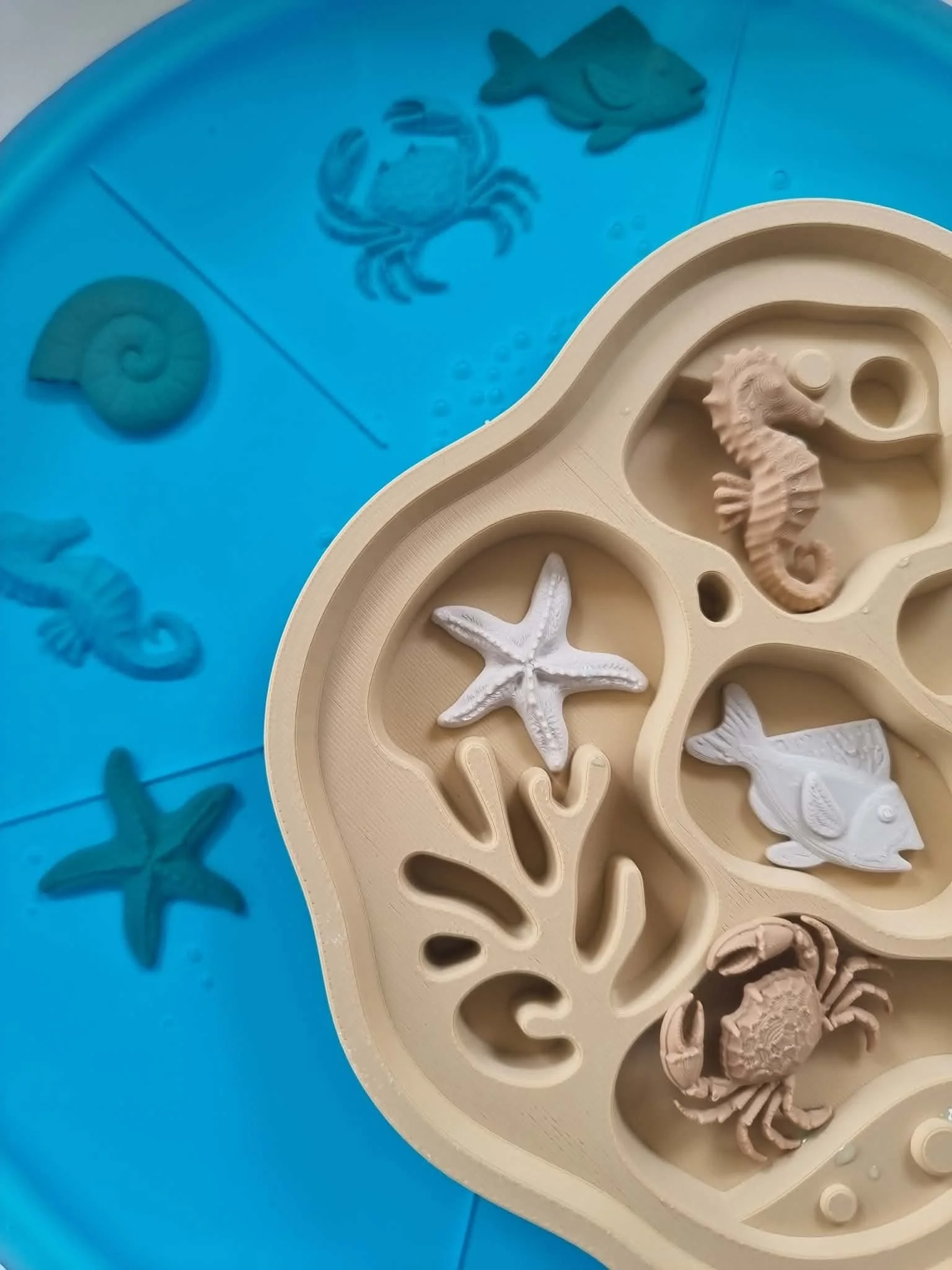 rockpool exploration activity for kids sensory play