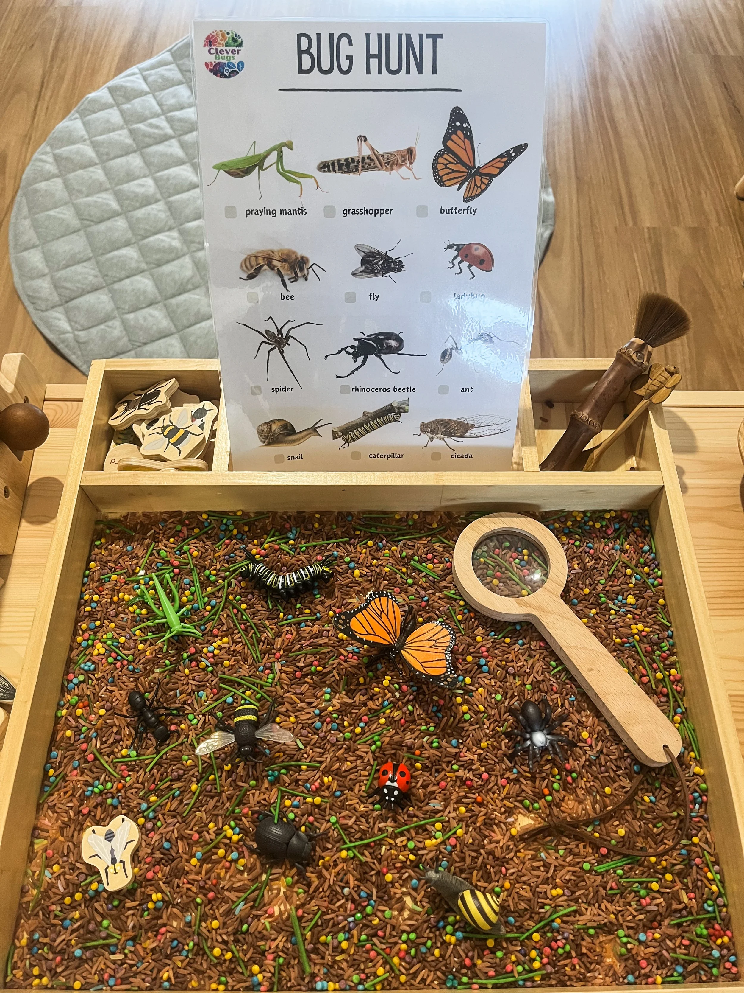 bug sensory play activity.jpg