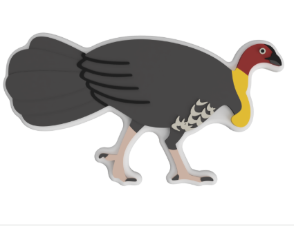 bush turkey math counters.png