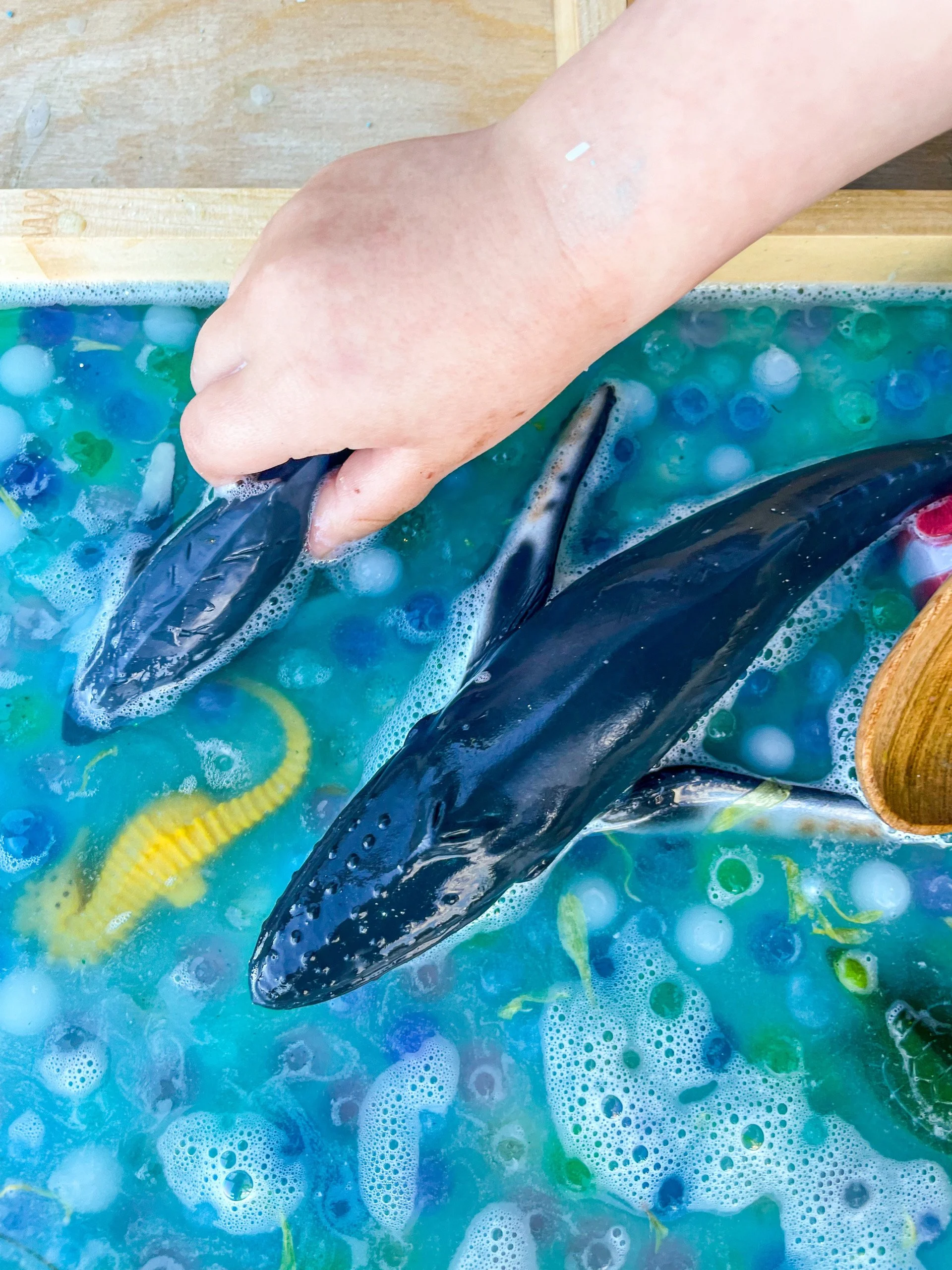 Ocean play ~ fizz, tray -1.jpg