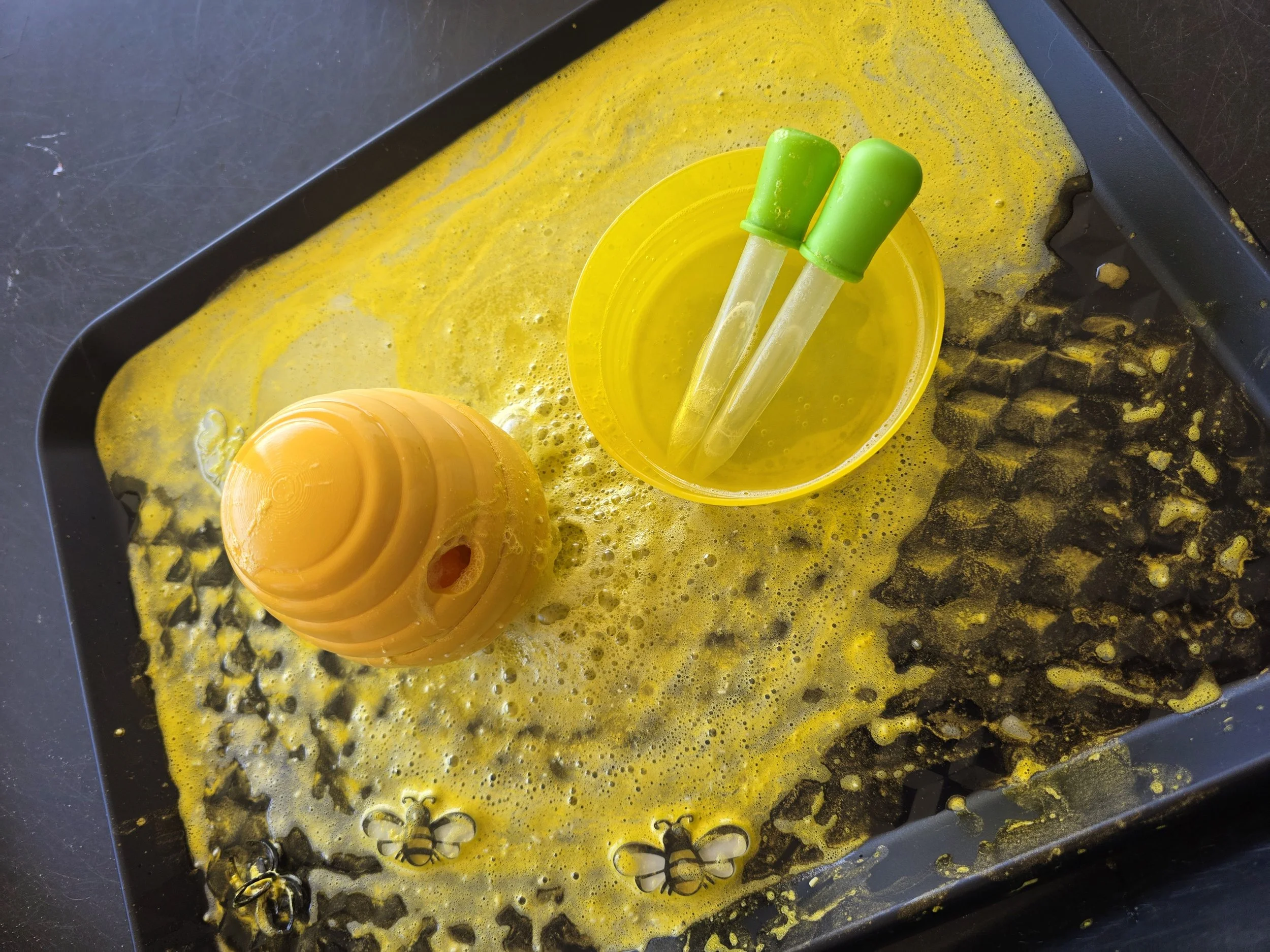 5ml plastic droppers set of 4