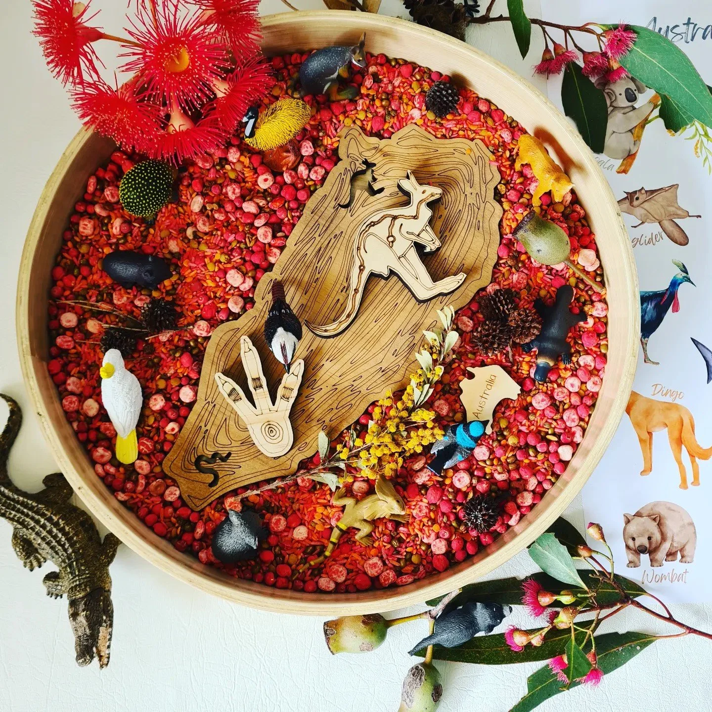 NAIDOC Week sensory play invitation featuring earthy sensory base colours, Australian animal figurines and open-ended learning materials.