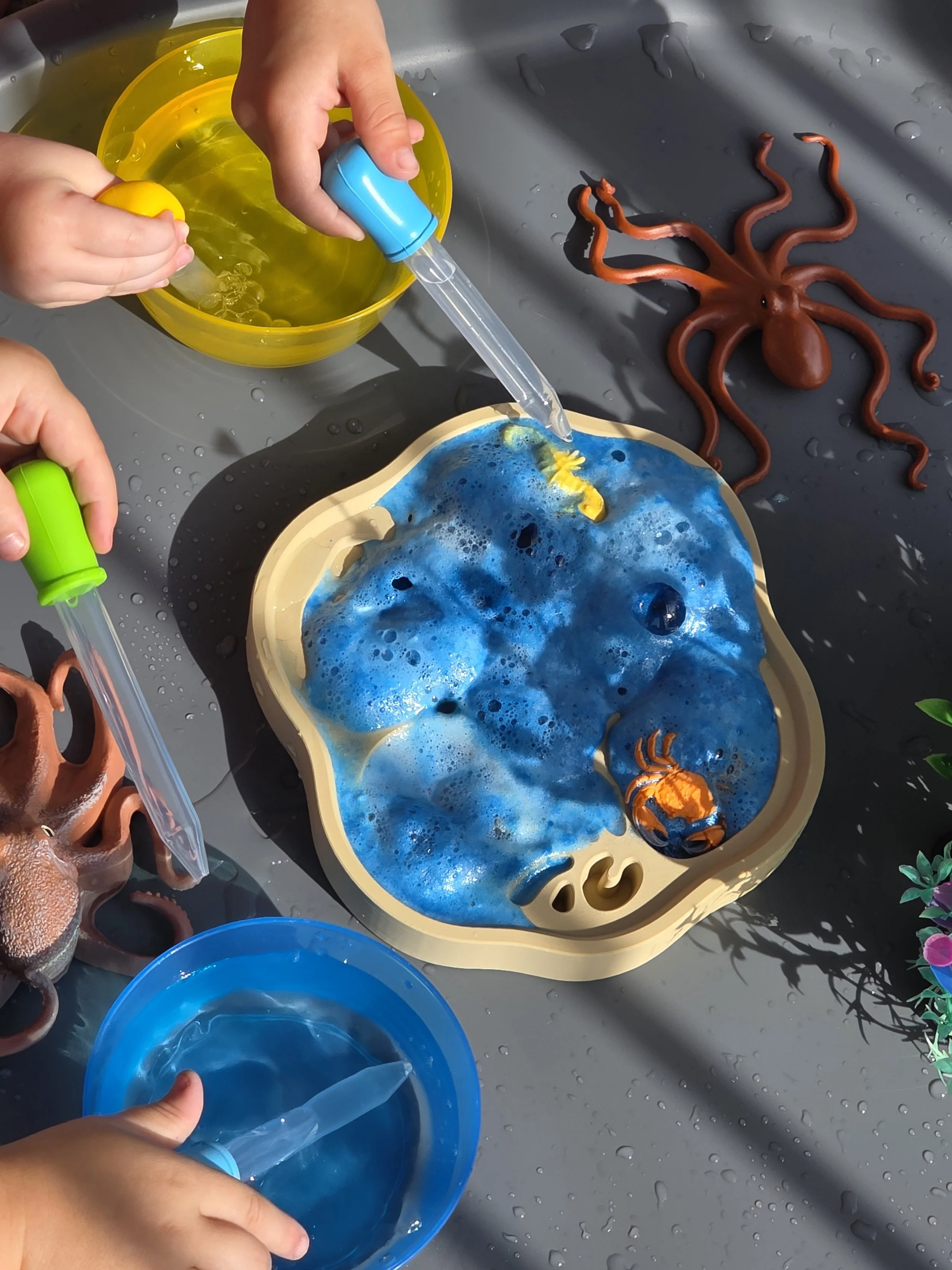 fizz rockpool sensory play tray.jpg
