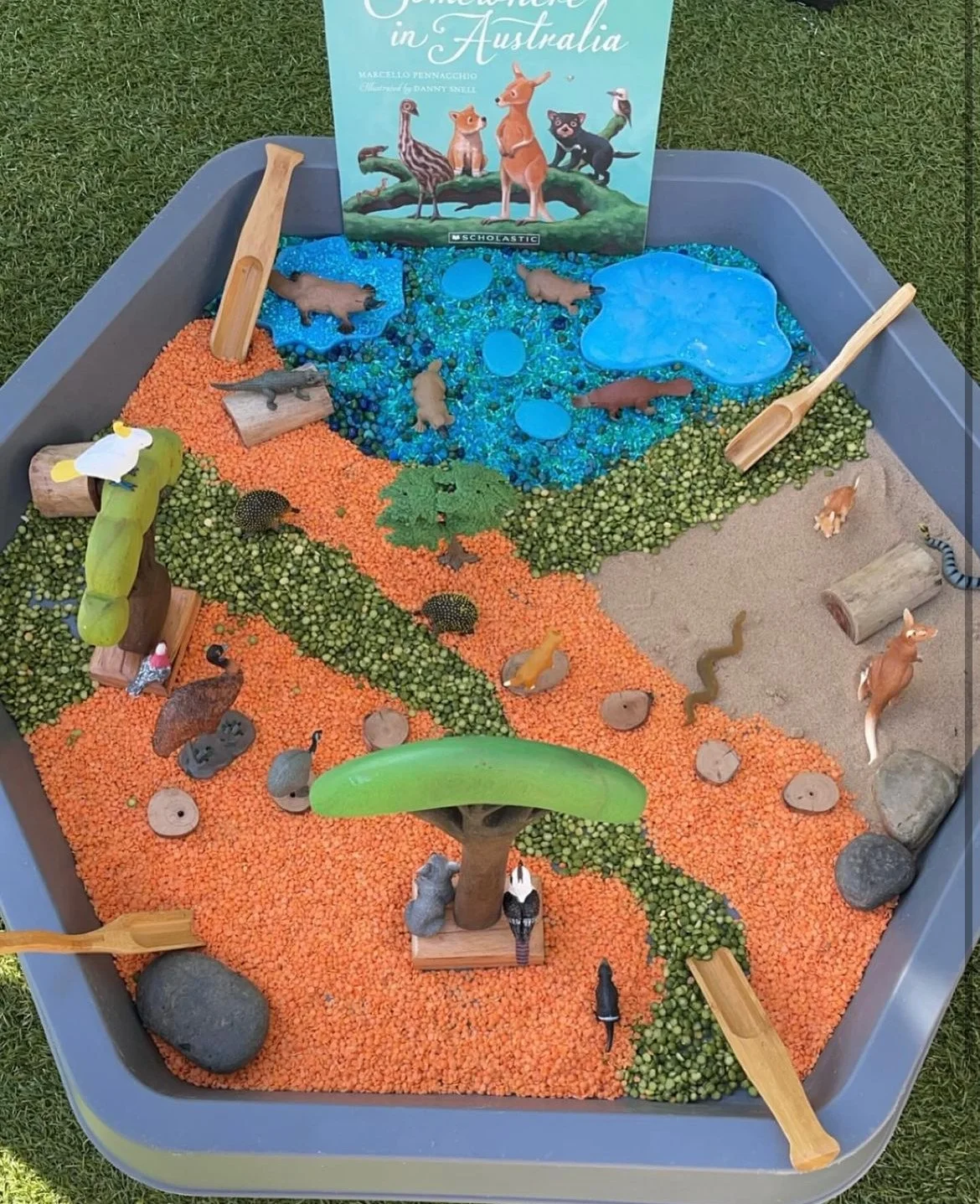 somewhere in australia book tuff tray.jpg