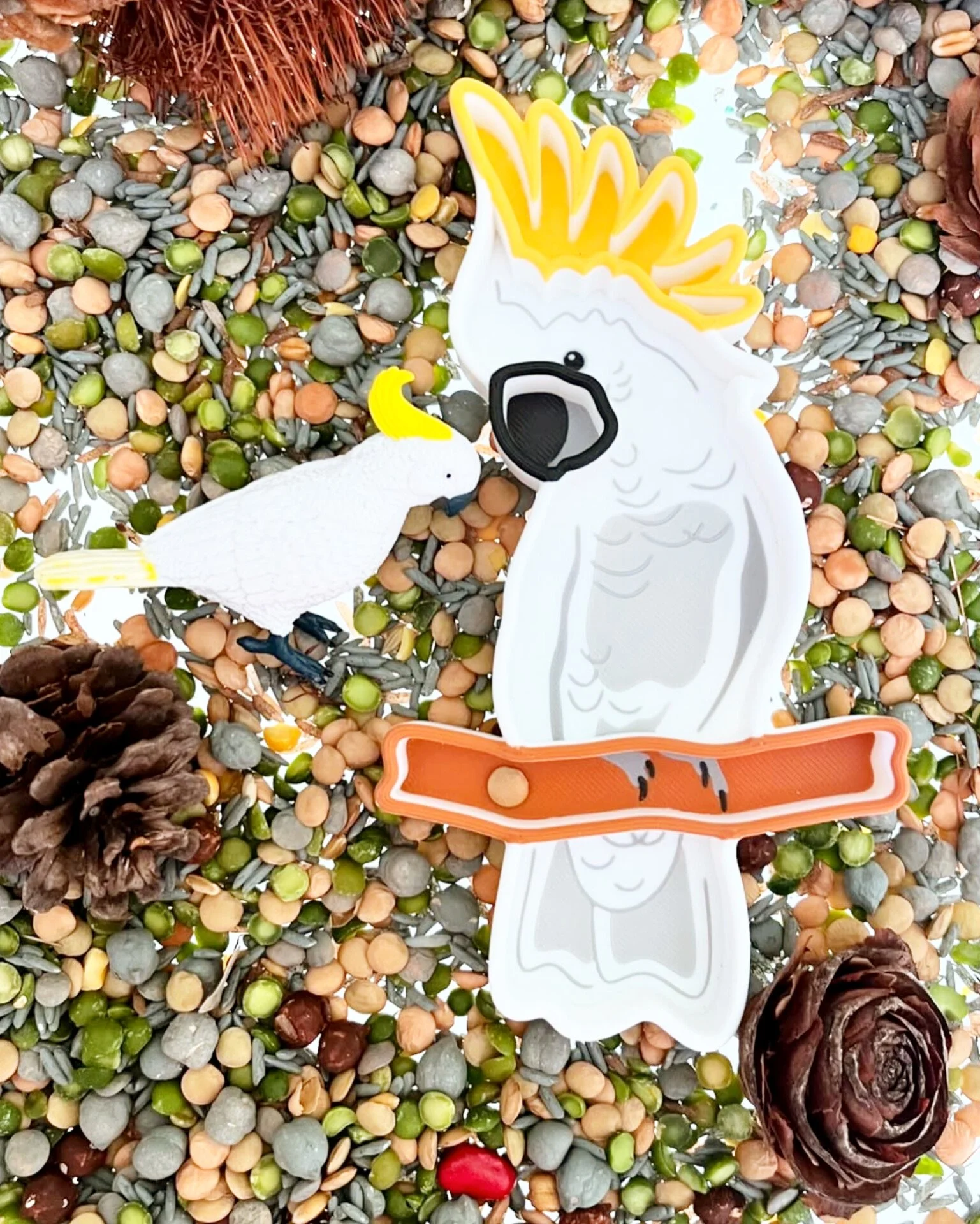 Sulphur-crested cockatoo