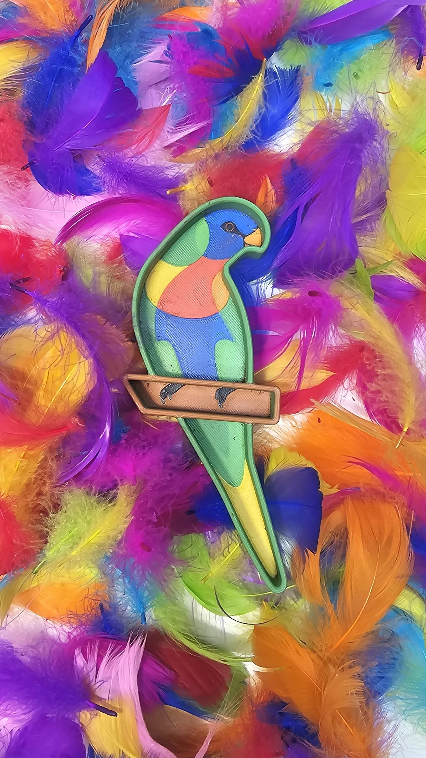 Rainbow Lorikeet Sensory Kit with colourful feathers and bird-shaped sensory tray