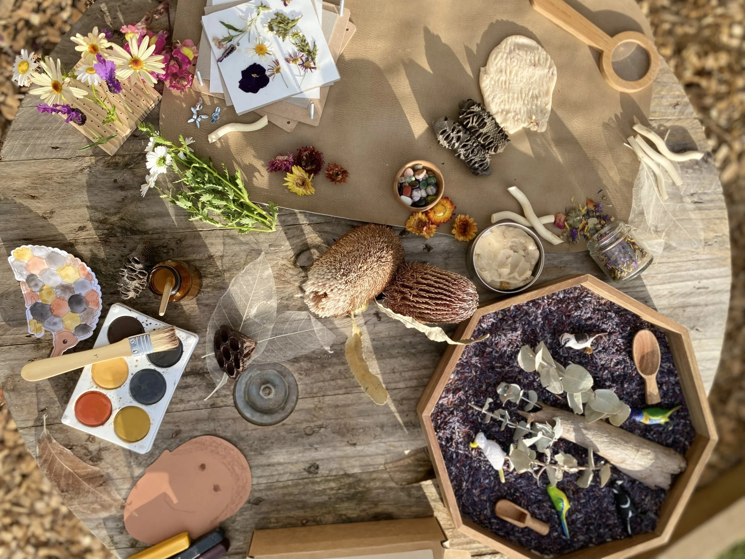 Hands-on NAIDOC Week activity for children using sensory play materials inspired by connection to Country and Australian wildlife.