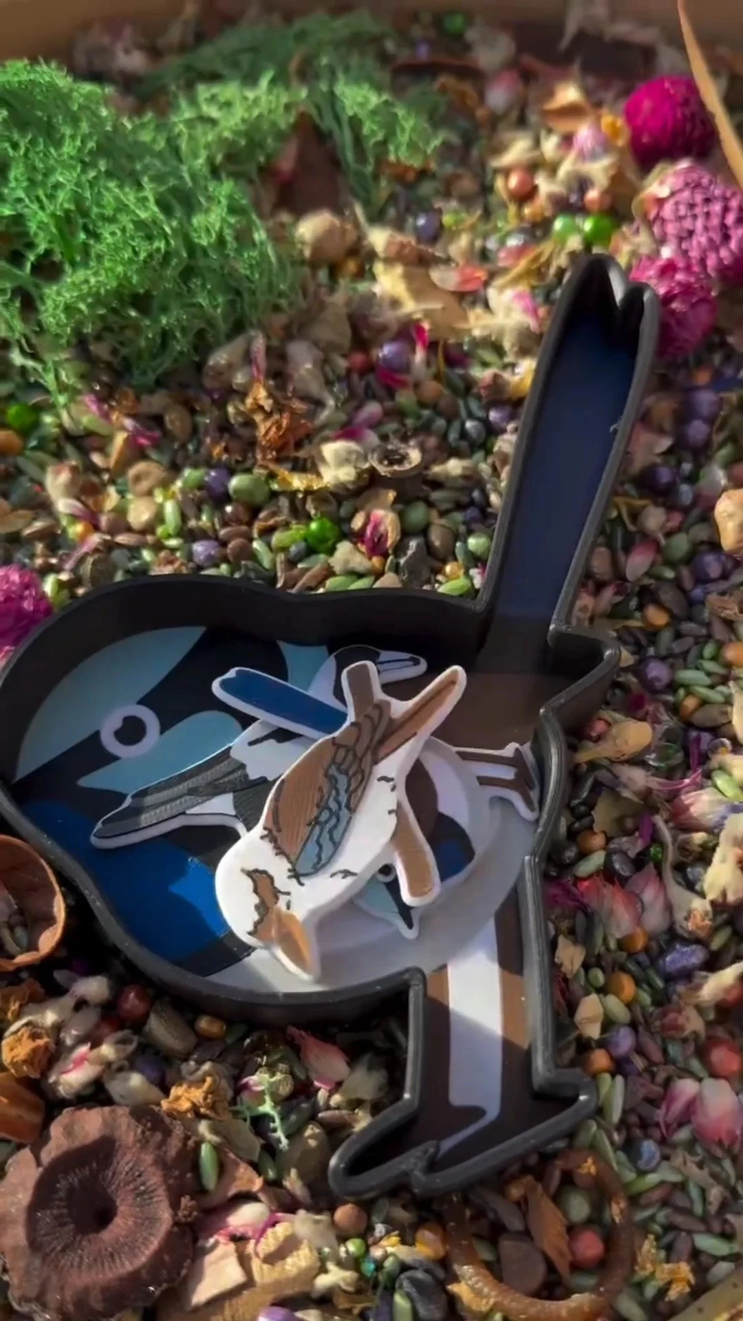 australian bird sensory play for kids.jpg