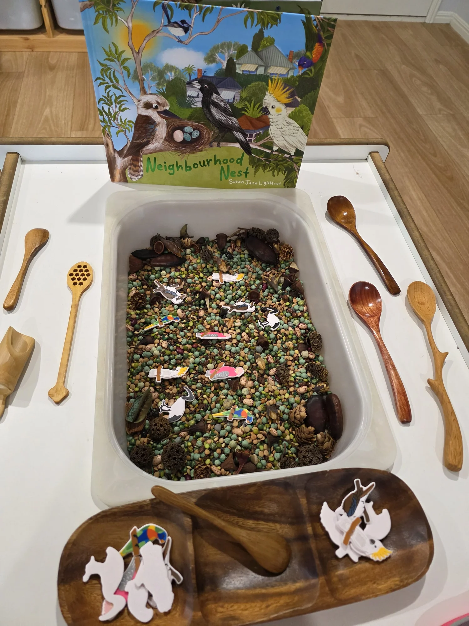 Little Bird Math Australian Bird Math Counters — Shop Sensory Play, Nature Activities ...