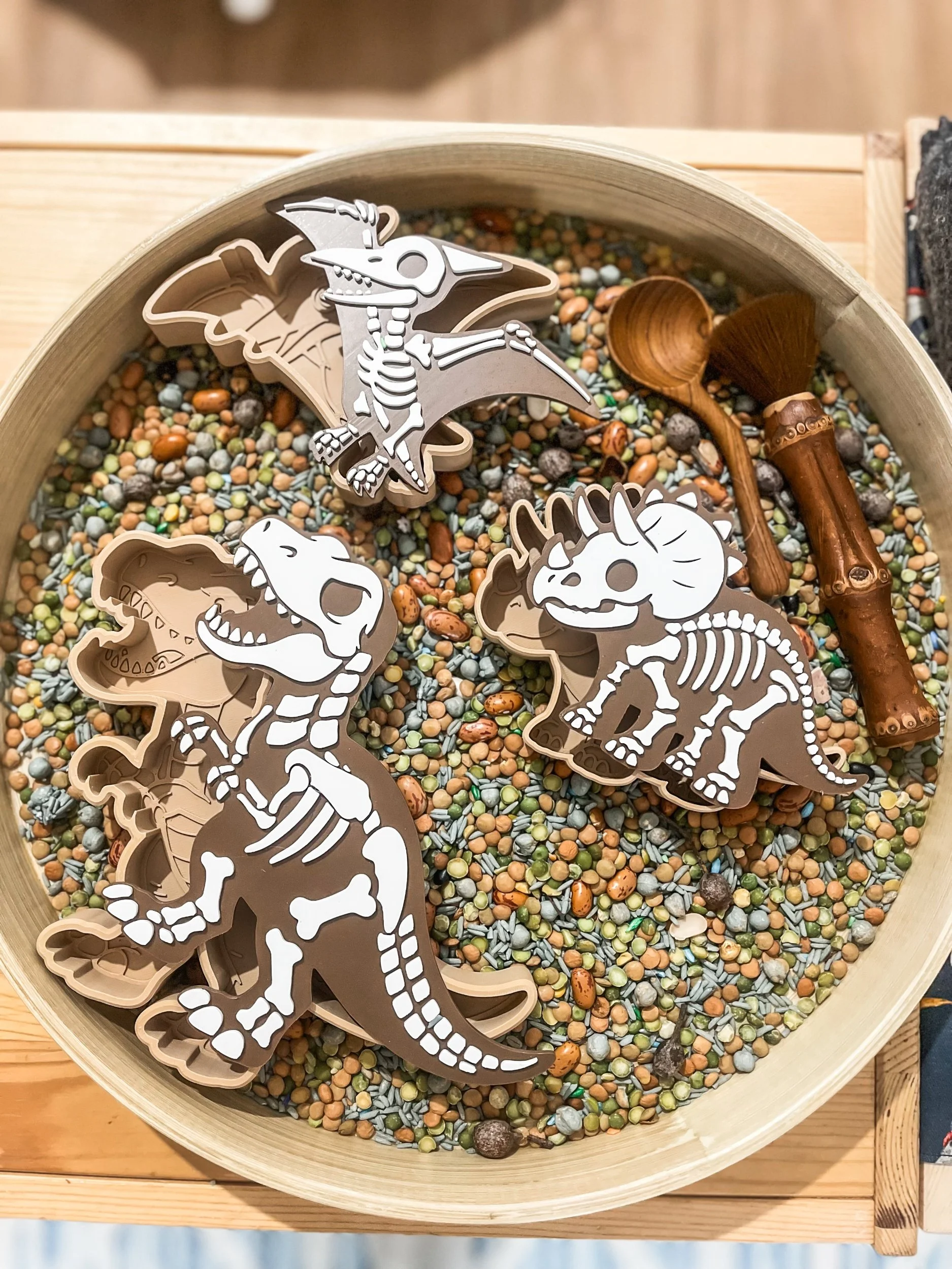 Dinosaur Fossil + Dino Tray Combo