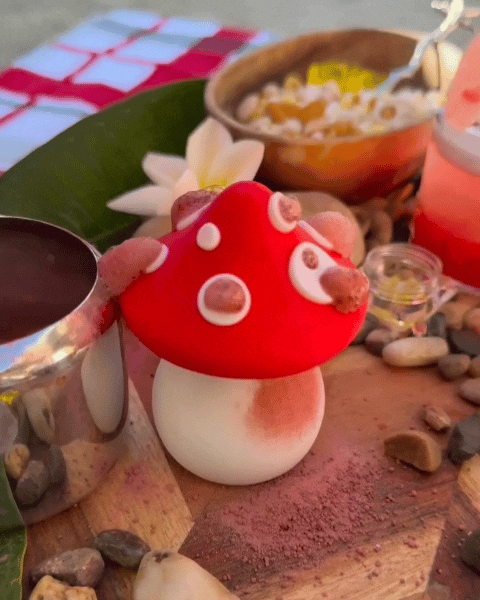 Potion Mushroom used with Clever Bugs fizz and a dropper