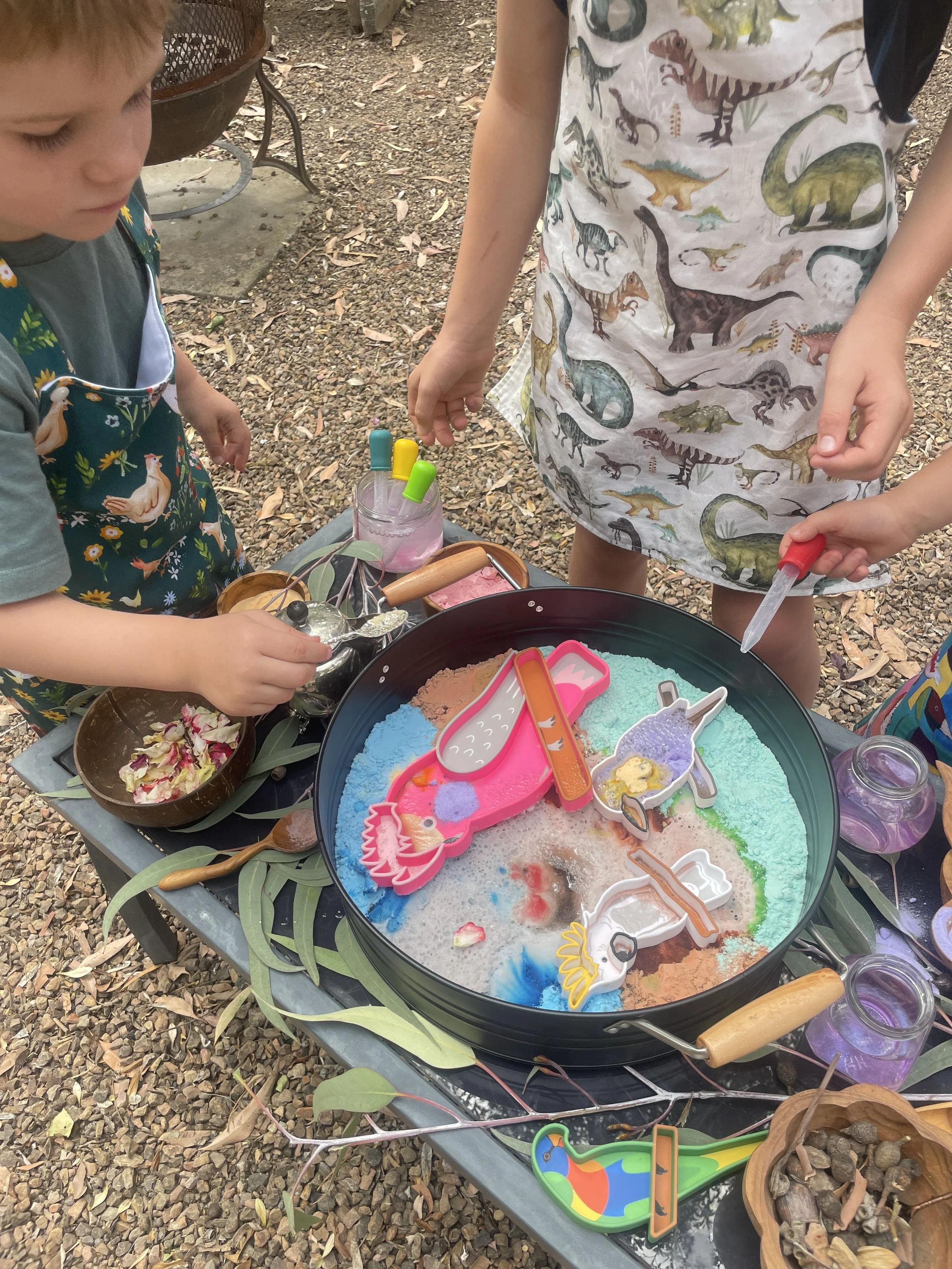 aussie bird potion nature play.JPG
